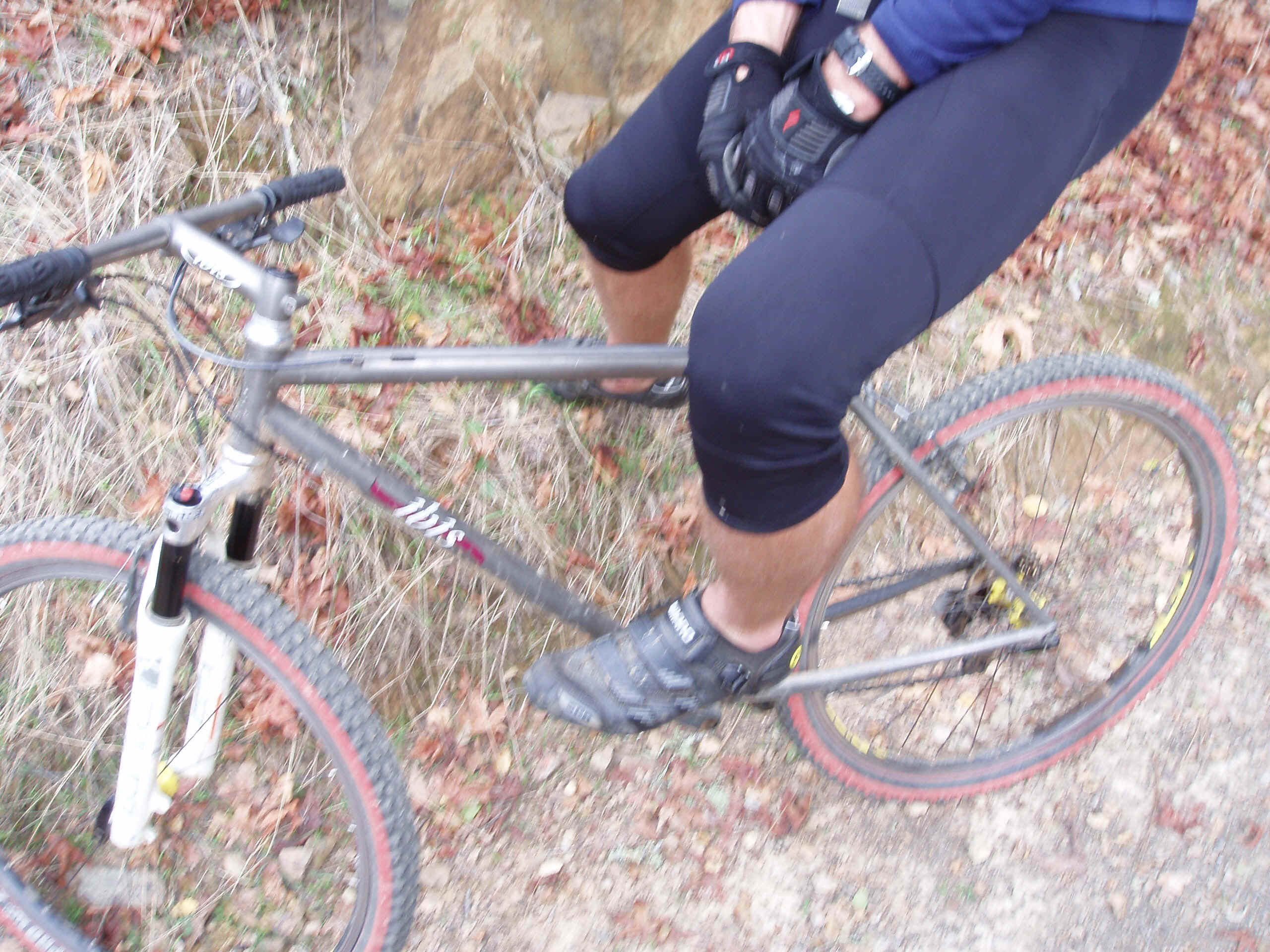 100_0009.JPG (1193201 bytes)