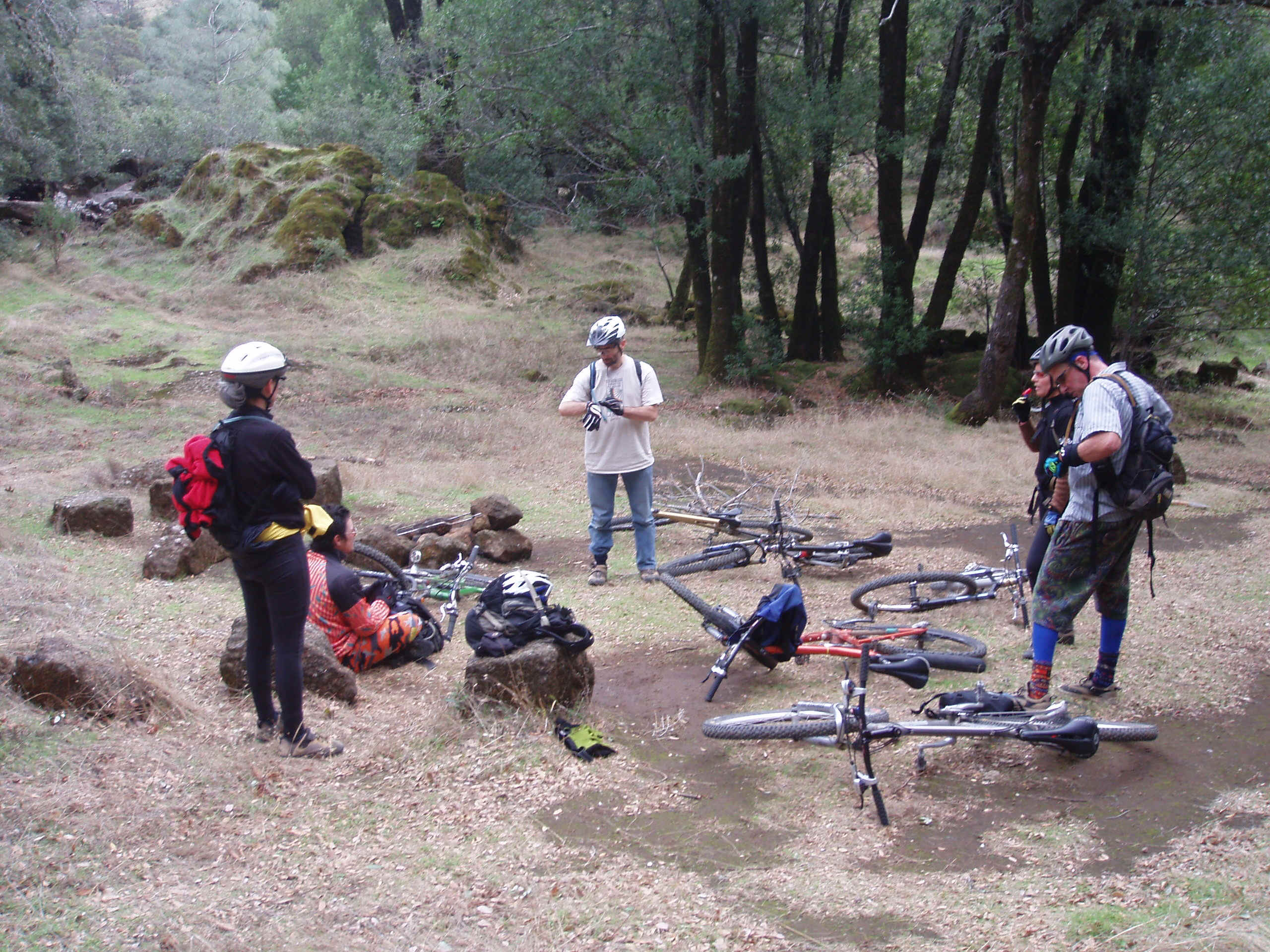 100_0035.JPG (1143373 bytes)