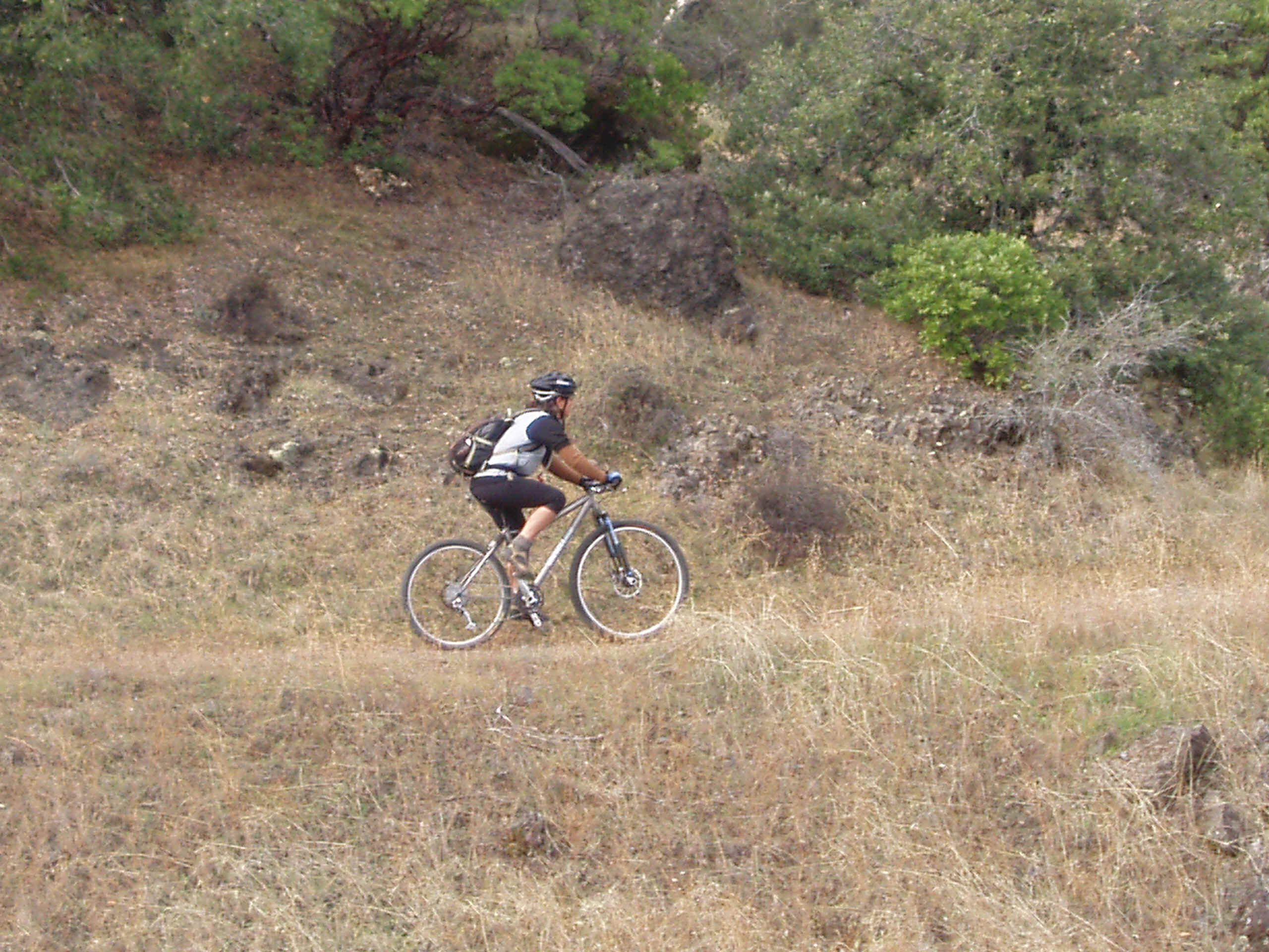 100_0044.JPG (1232703 bytes)