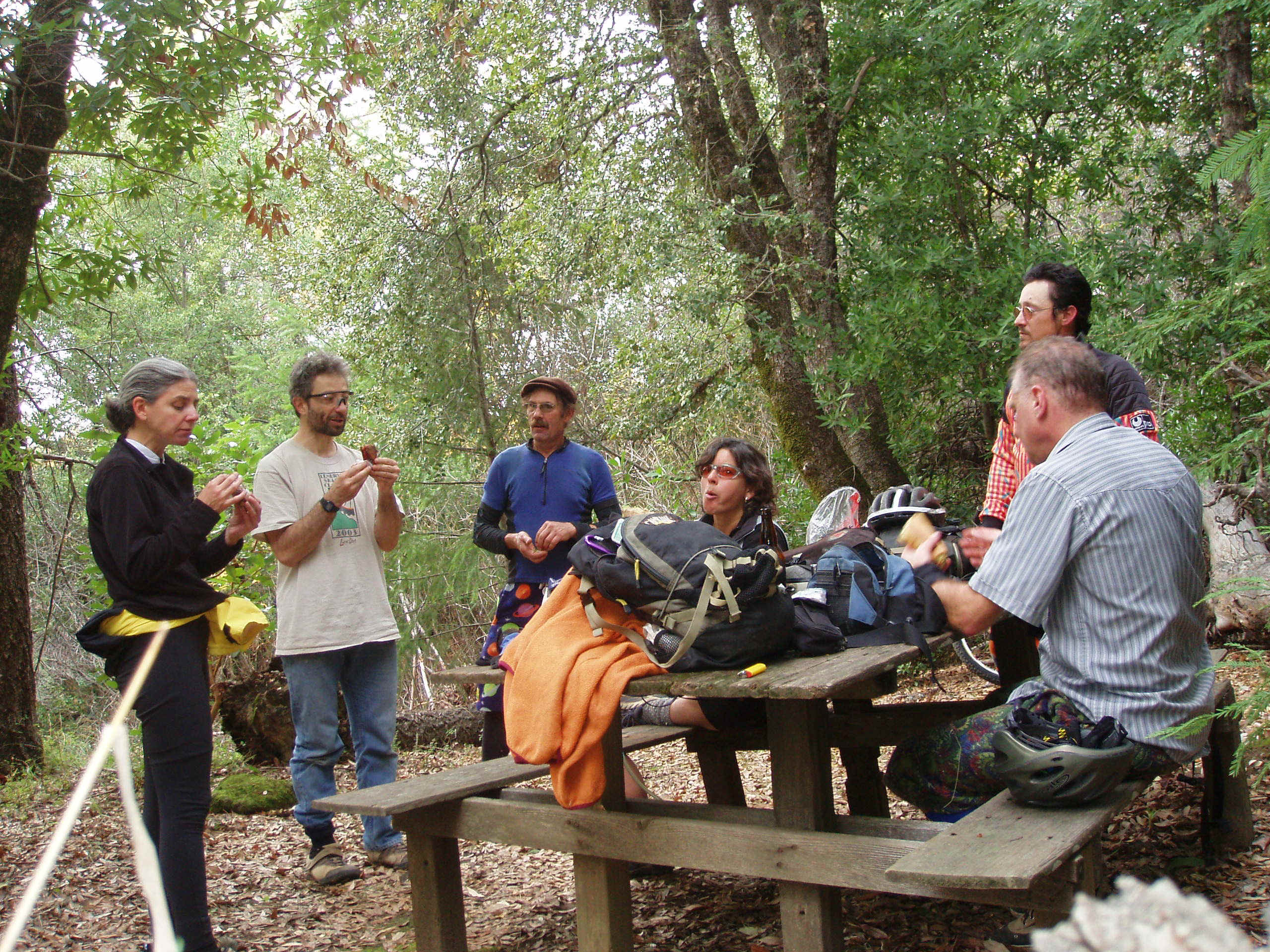 100_0056.JPG (1086162 bytes)