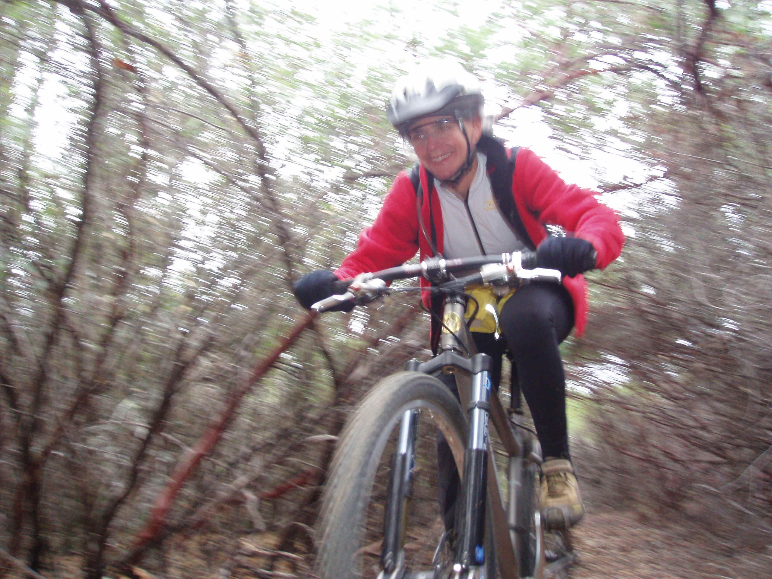 100_0070.JPG (1189125 bytes)