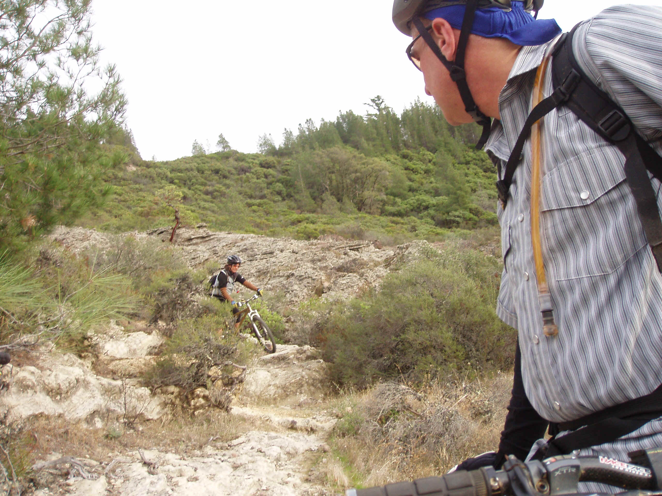 100_0081.JPG (1196106 bytes)