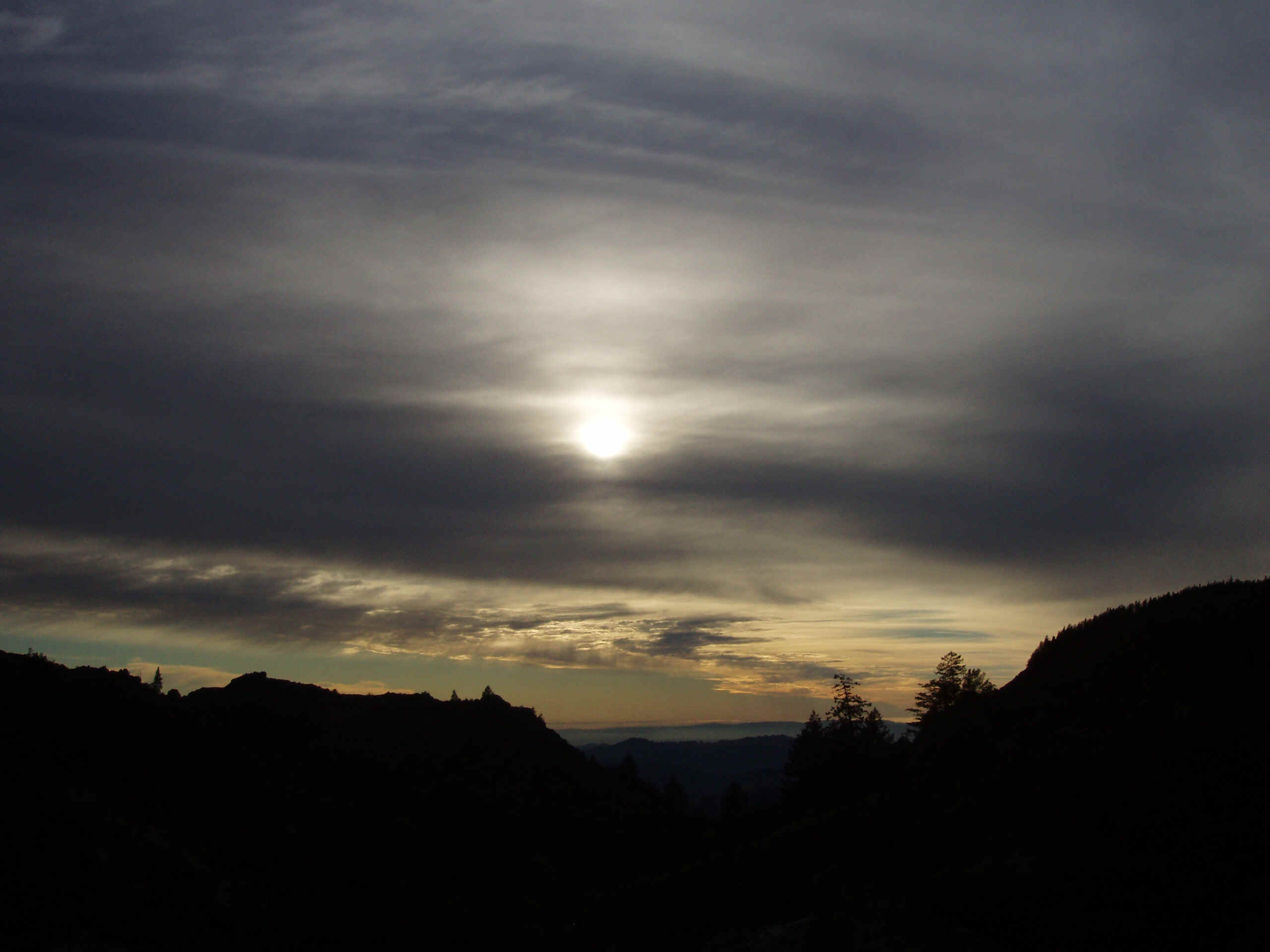 100_0119.JPG (1207487 bytes)