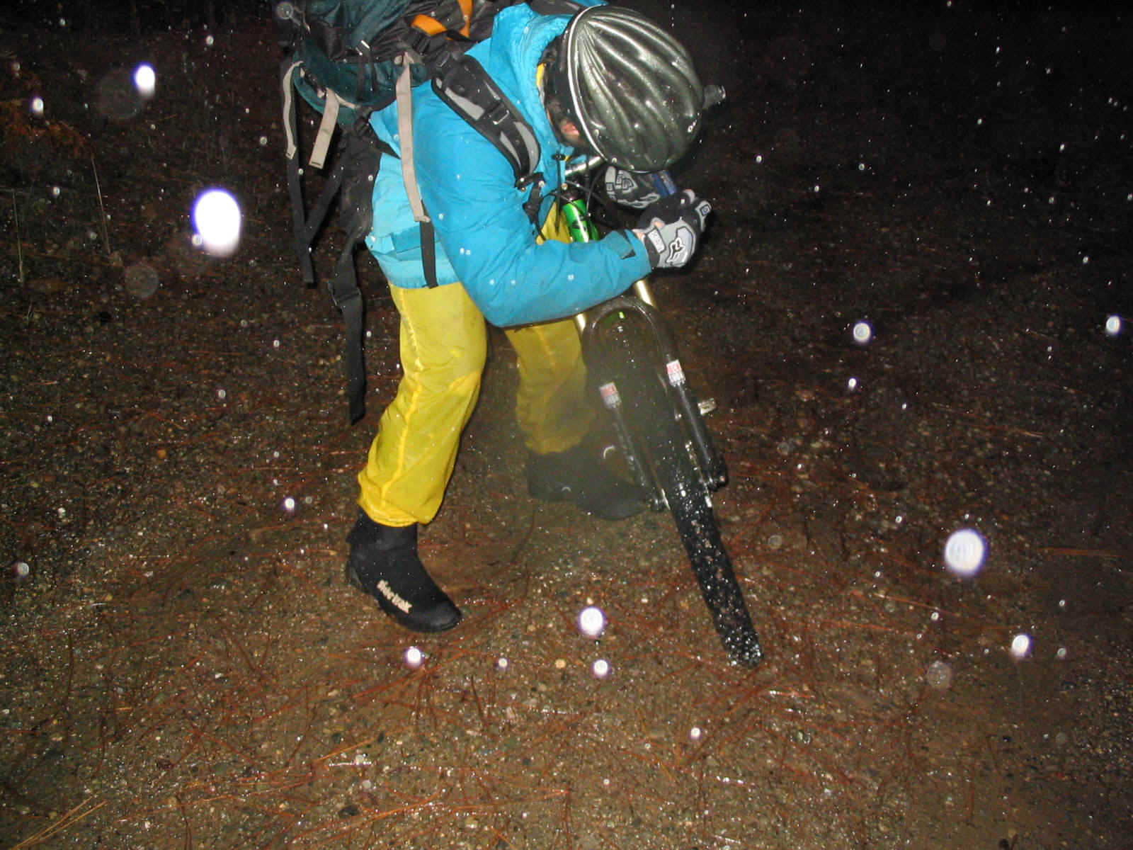 118_1878.jpg (342143 bytes)