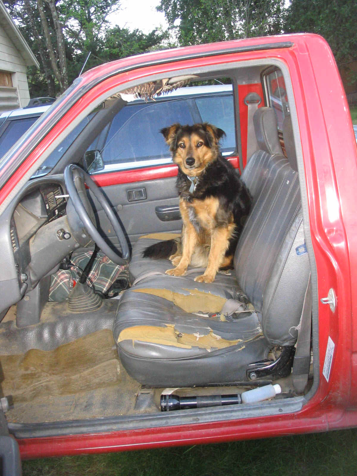 123_2353.JPG (324029 bytes)