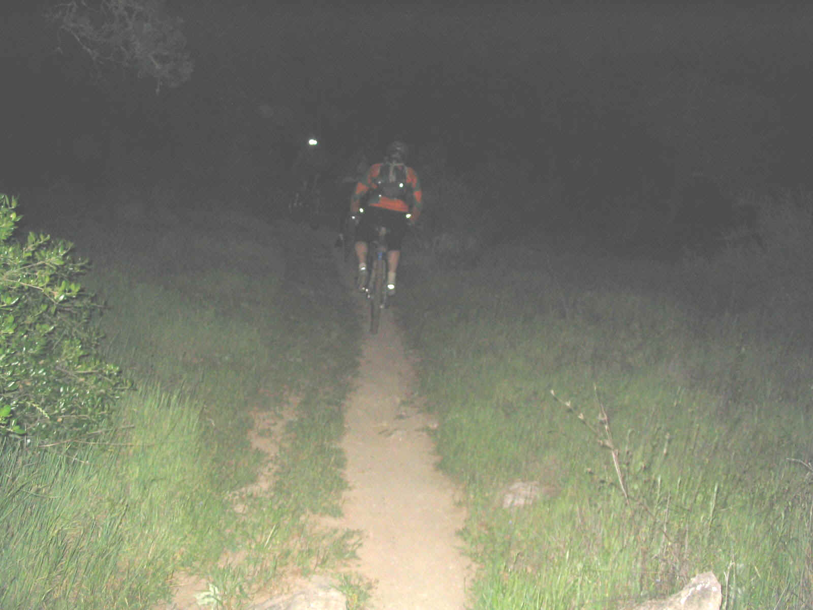 123_2361.JPG (200518 bytes)