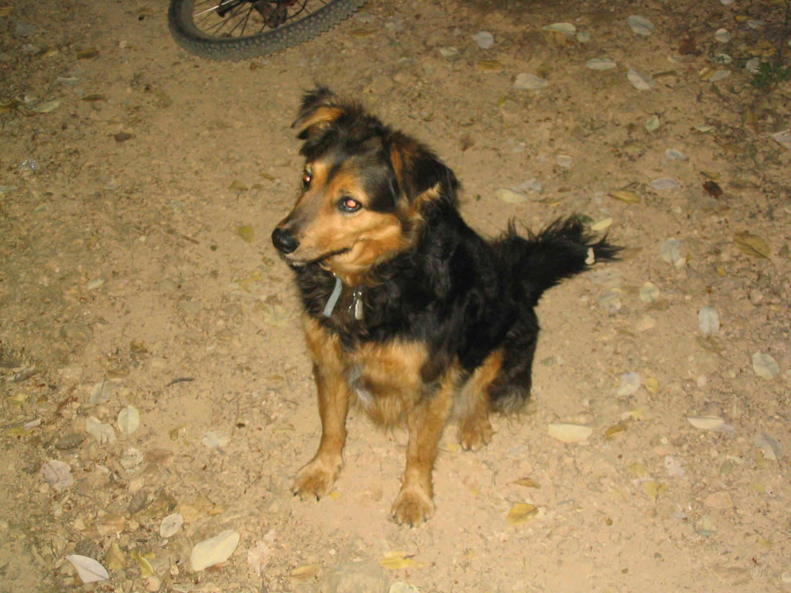 128_2858.JPG (281584 bytes)