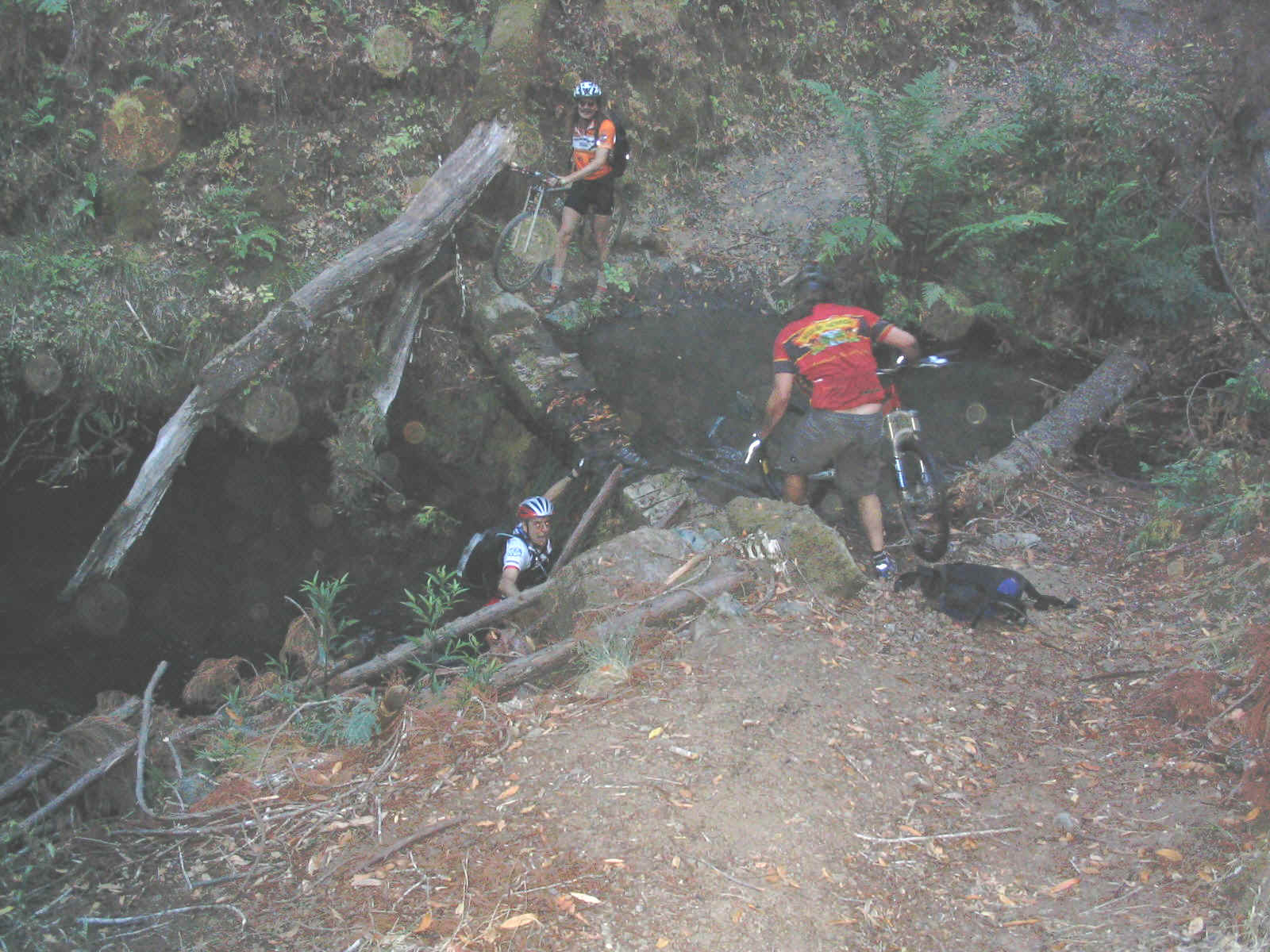 129_2959.JPG (325966 bytes)