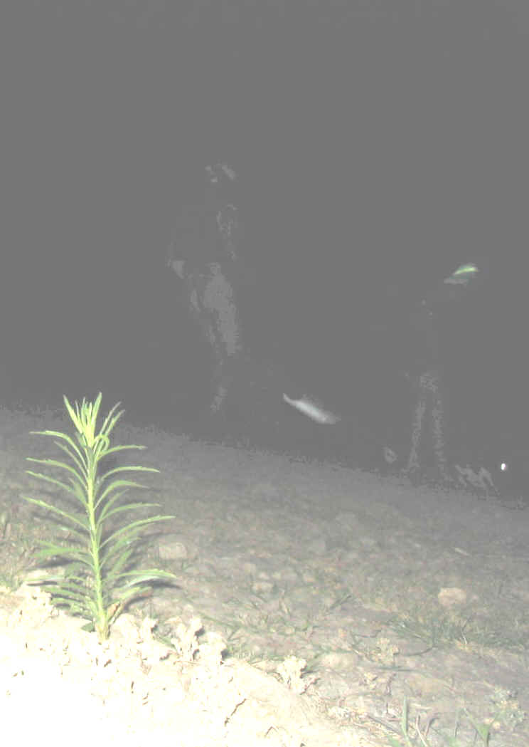 129_2968.JPG (149388 bytes)