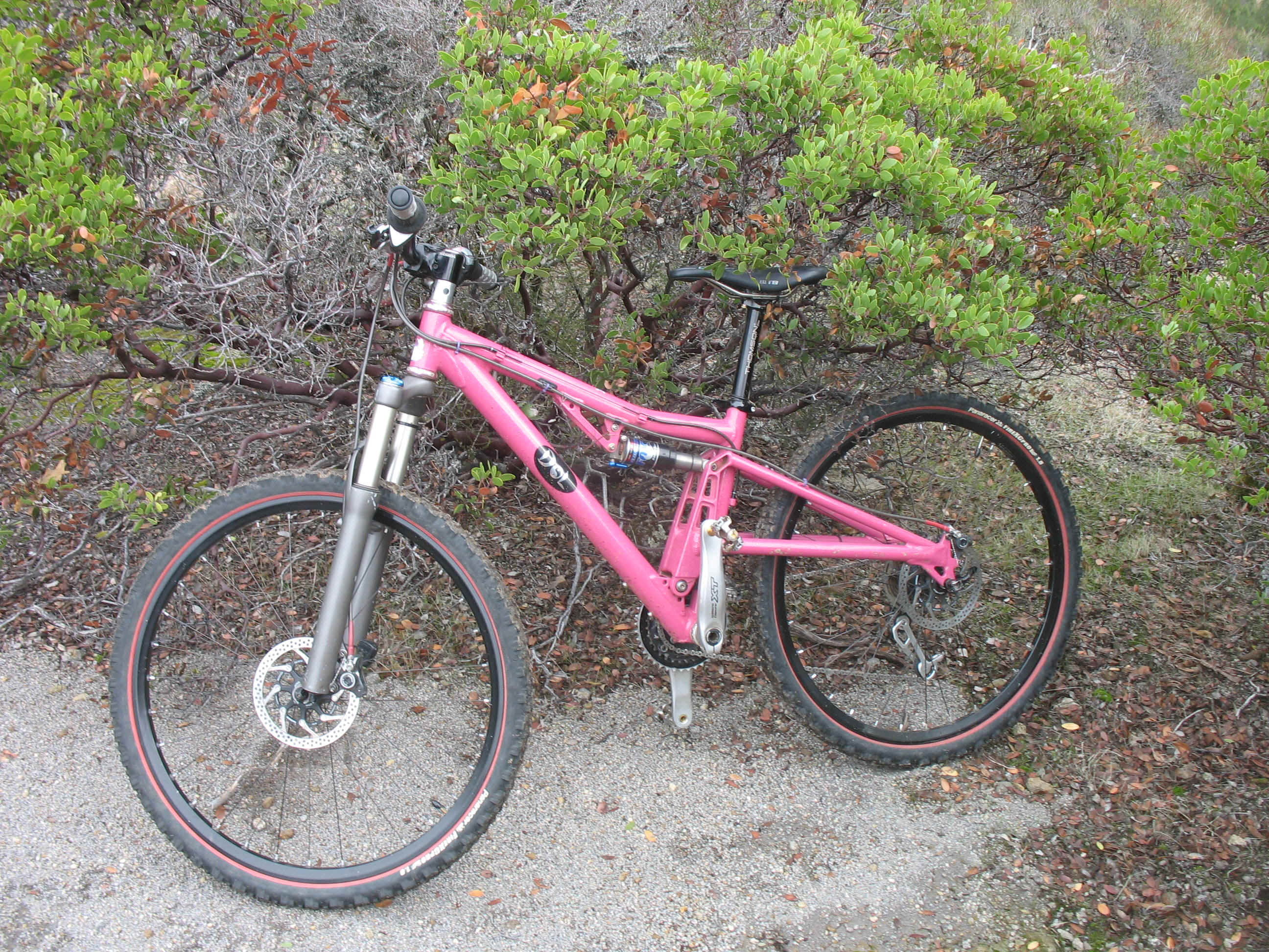 131_3106.JPG (1352830 bytes)