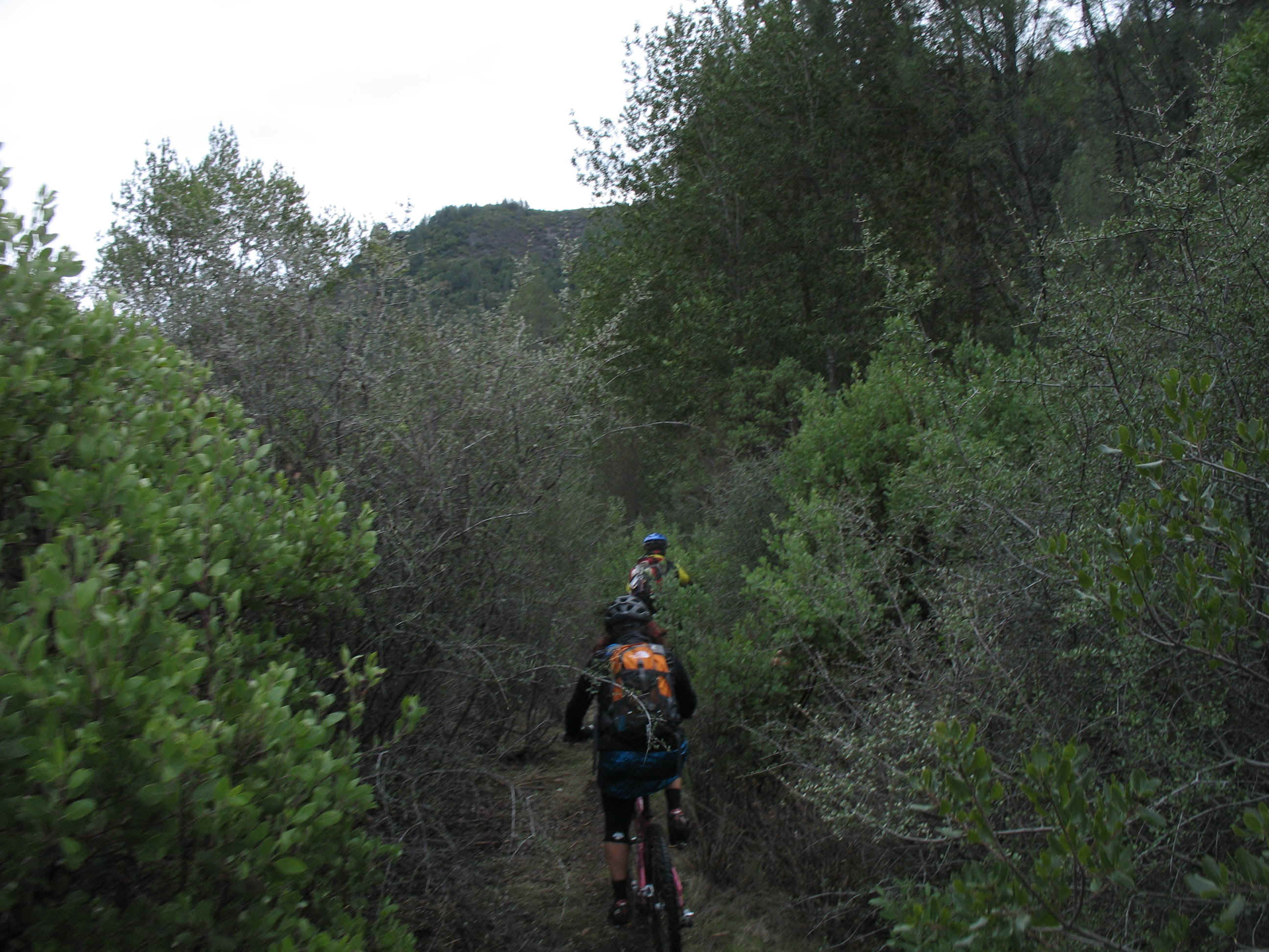 131_3111.JPG (736933 bytes)