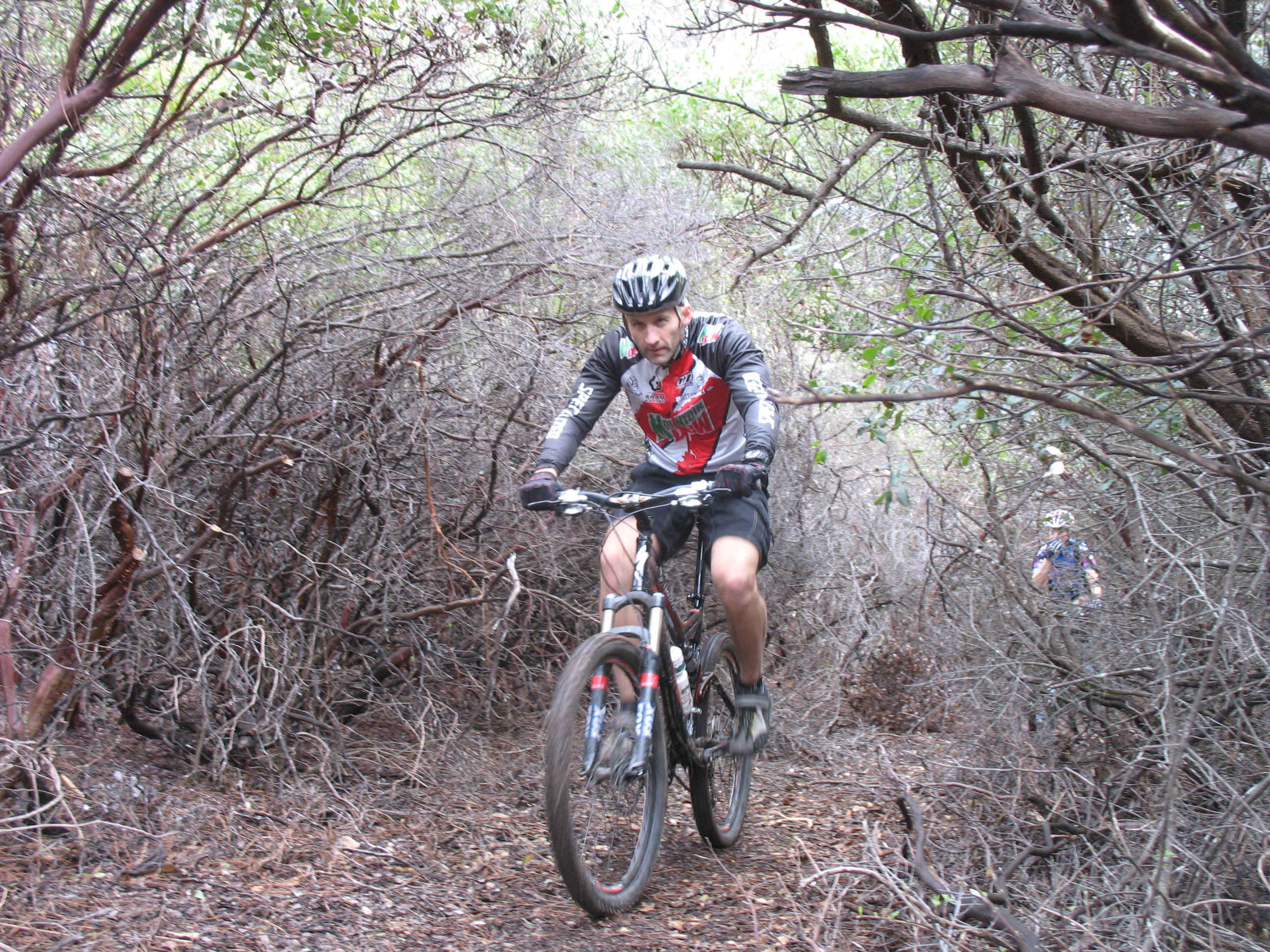 131_3121.JPG (1223304 bytes)