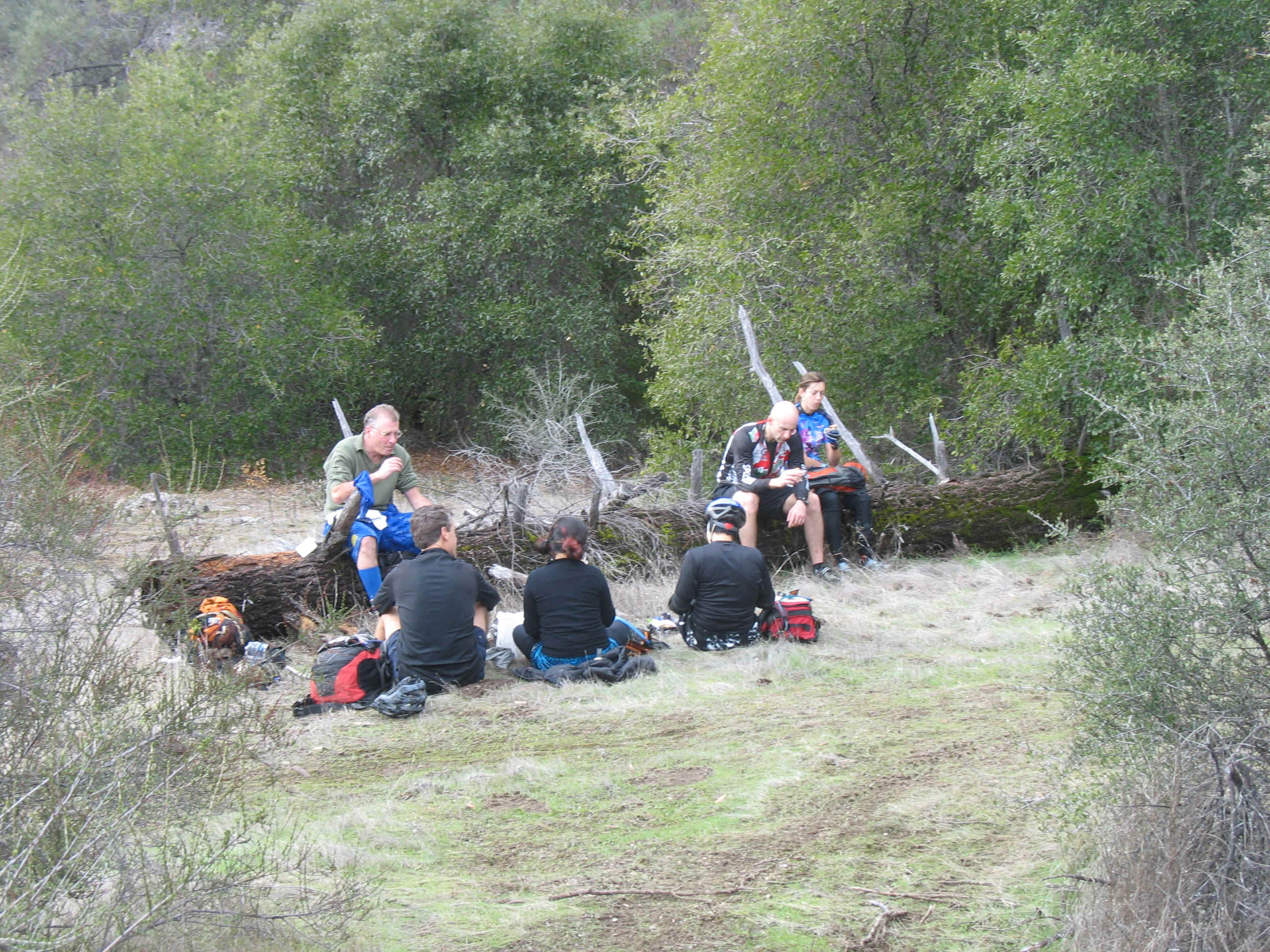 131_3123.JPG (1089900 bytes)