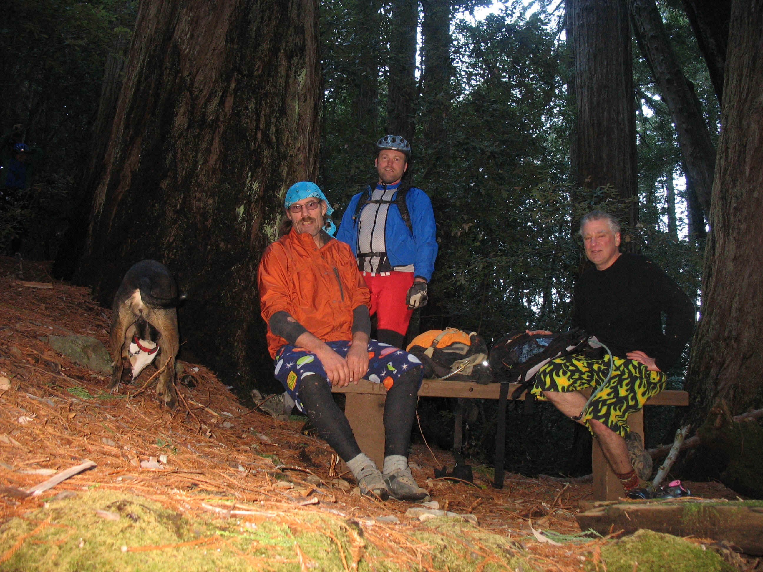 131_3196.JPG (924302 bytes)