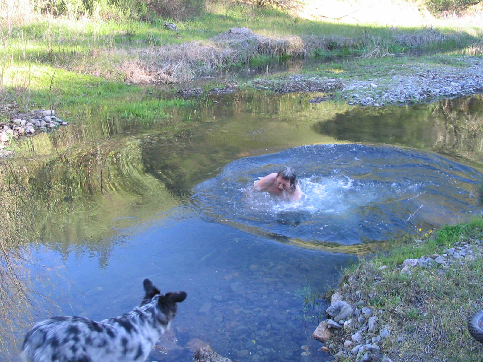 134_3468.JPG (395538 bytes)