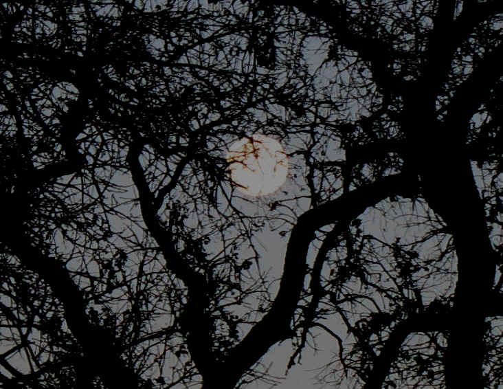 135_3562.JPG (1300114 bytes)