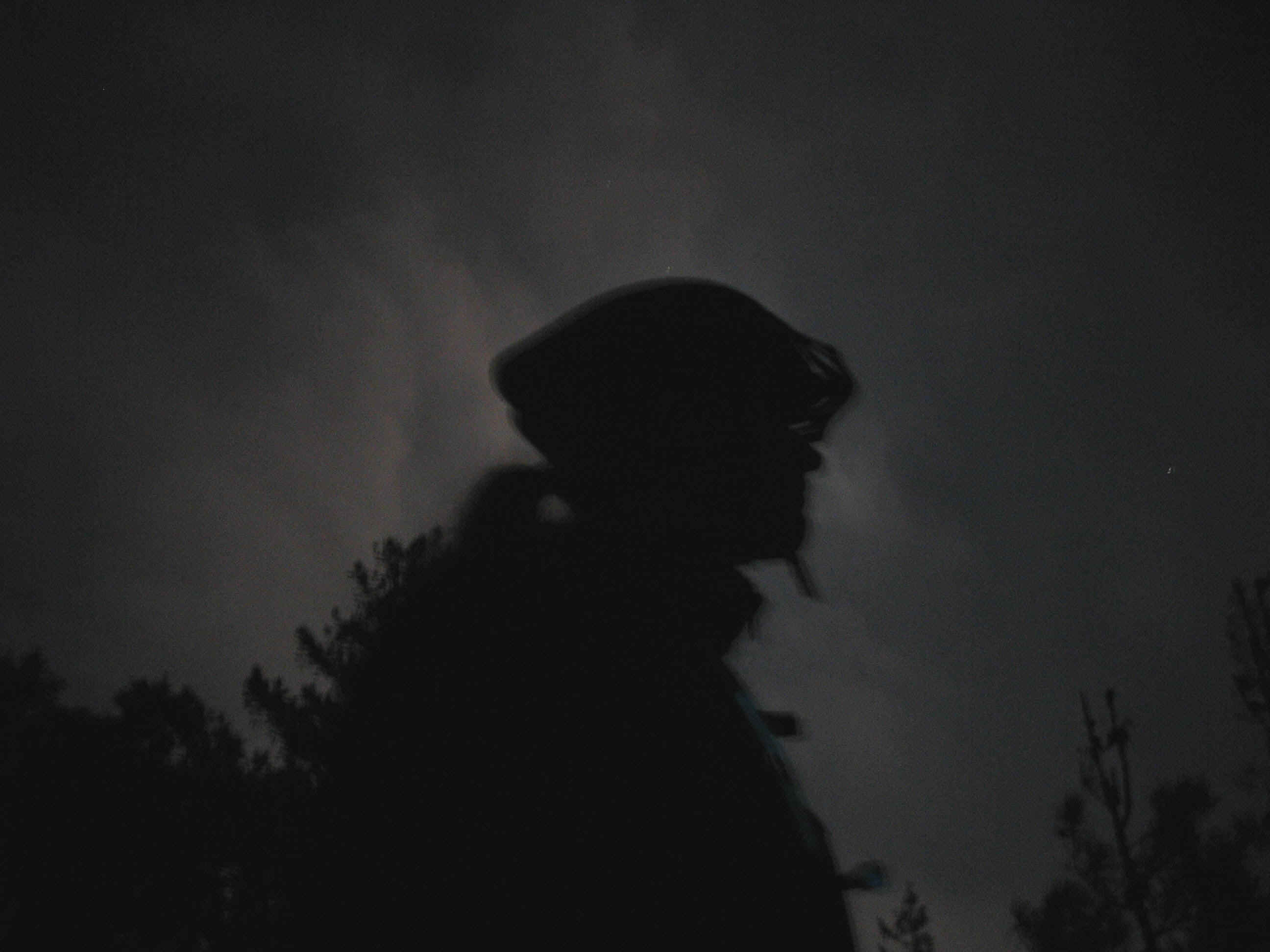 135_3570.JPG (353923 bytes)