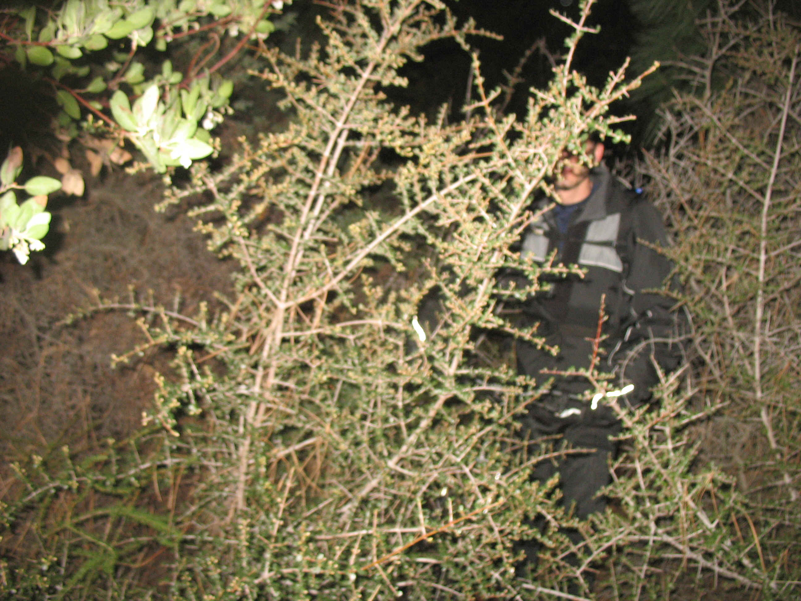 135_3574.JPG (1696033 bytes)