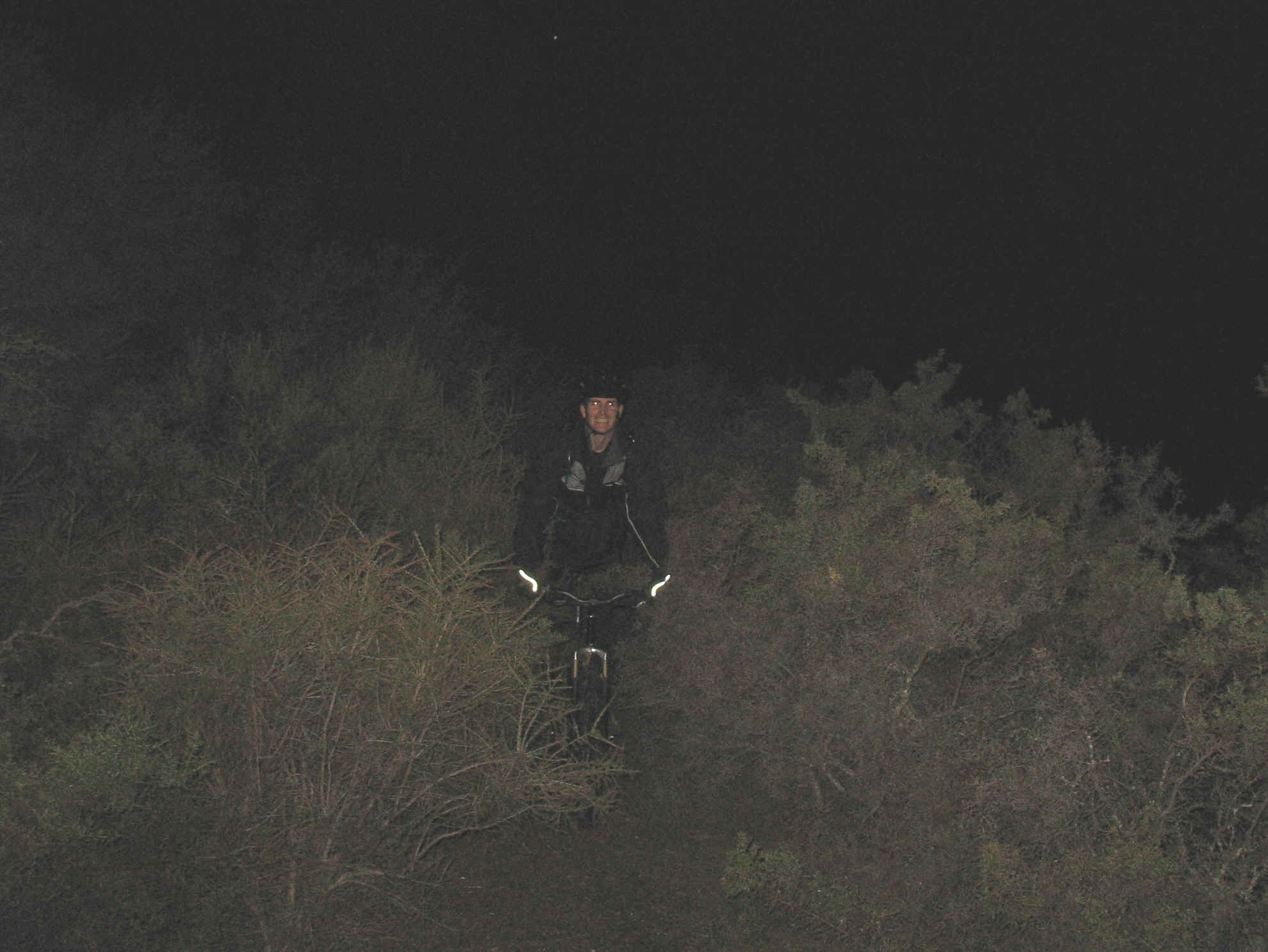 135_3575.JPG (1076840 bytes)