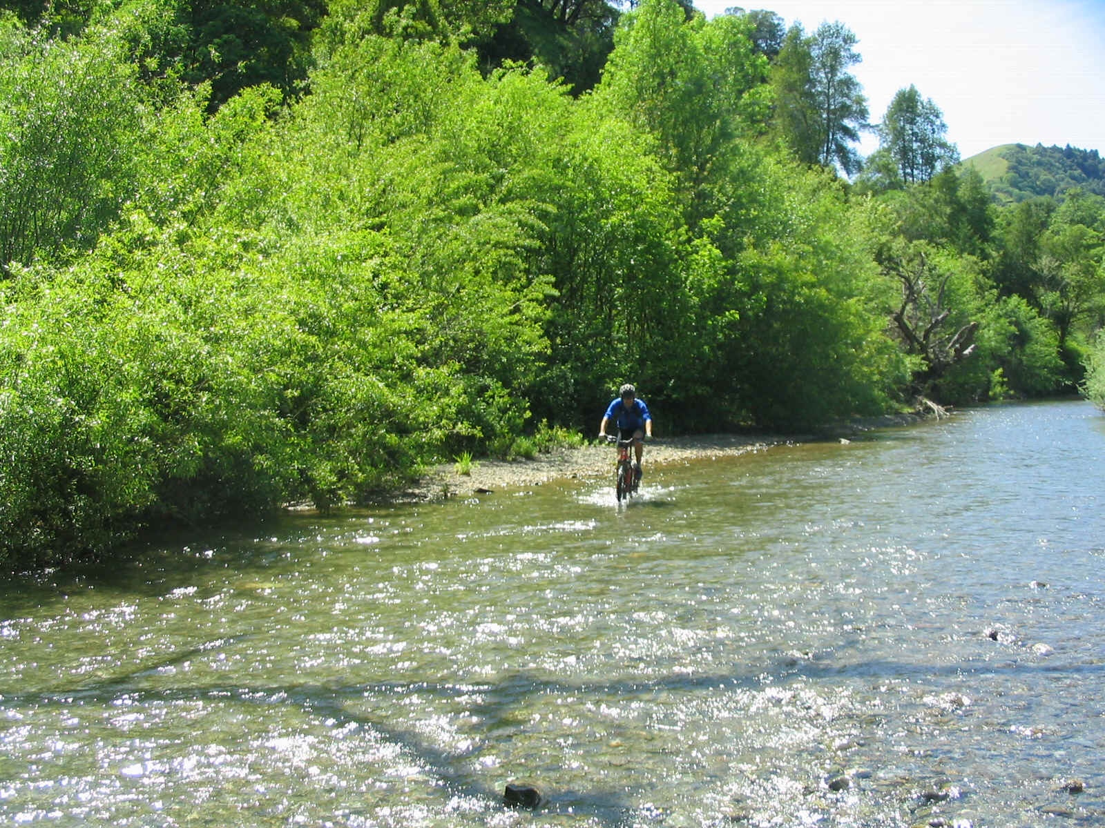 136_3678.JPG (1018274 bytes)