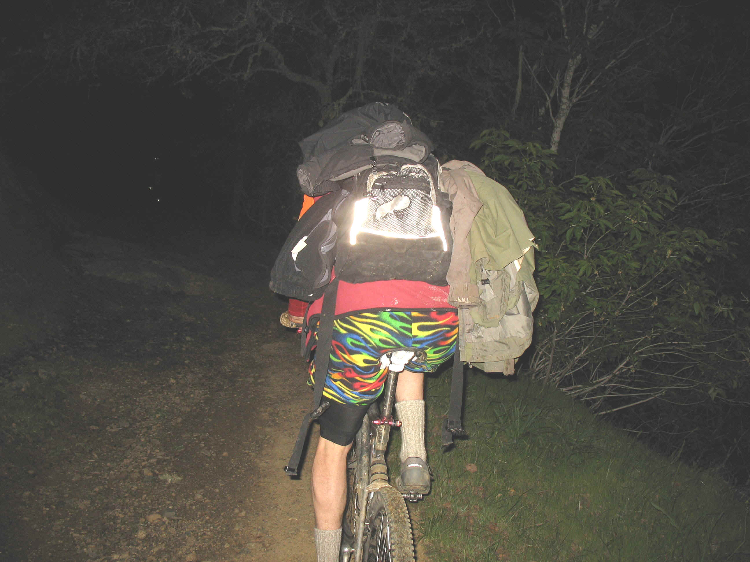 137_3734.JPG (540856 bytes)