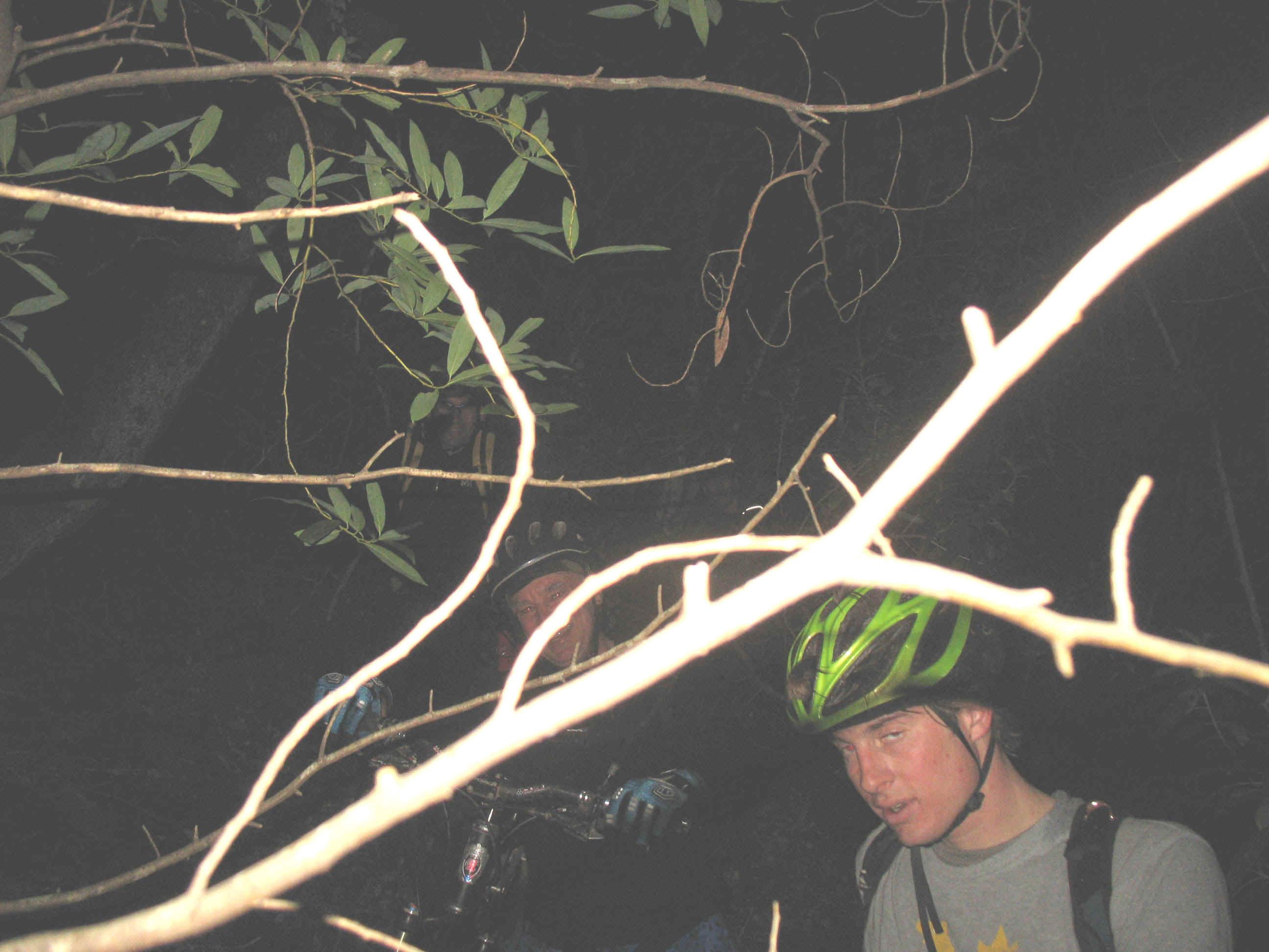 137_3779.JPG (444993 bytes)