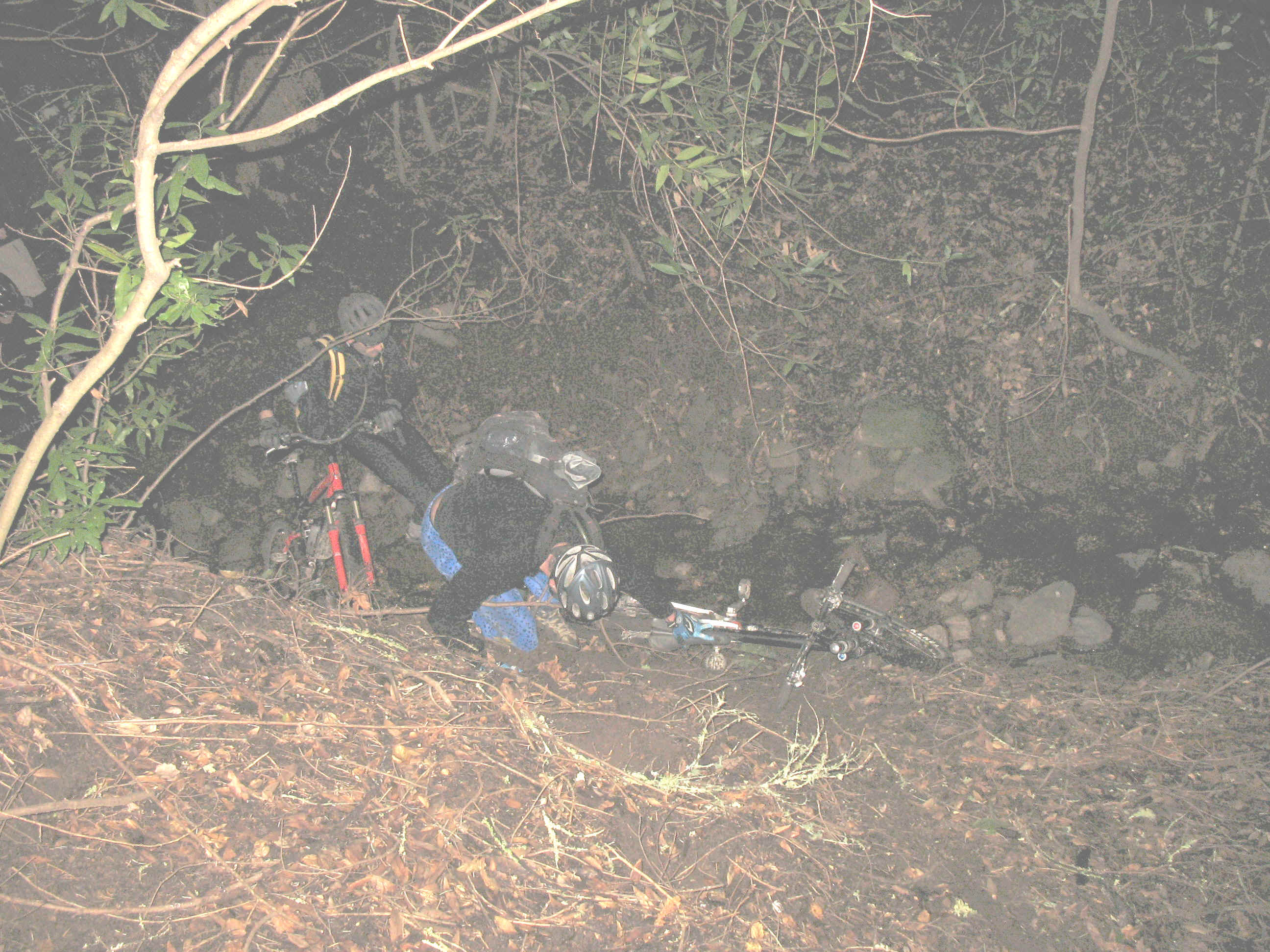 137_3781.JPG (774203 bytes)