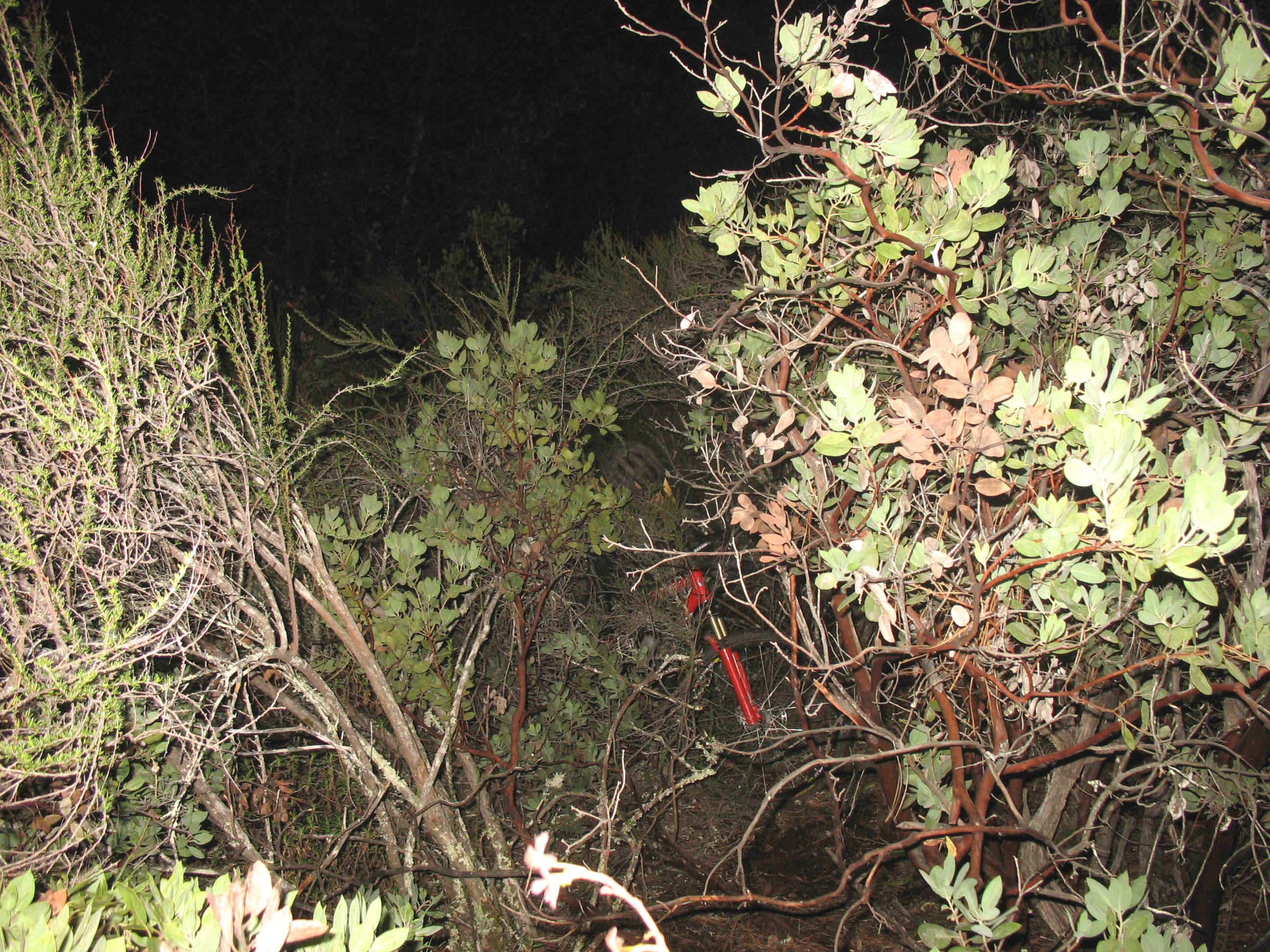 137_3785.JPG (1258260 bytes)