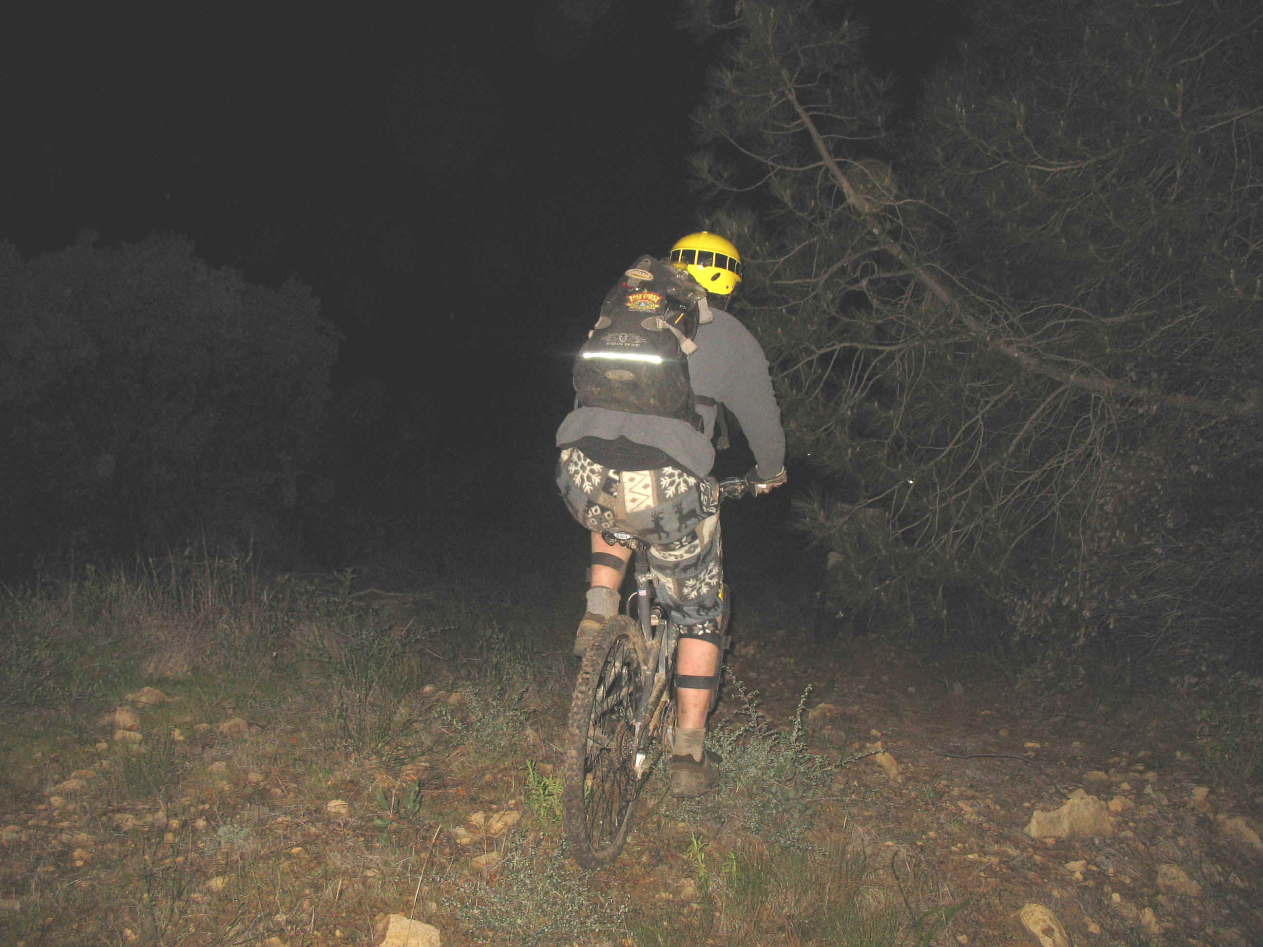 138_3802.JPG (616567 bytes)