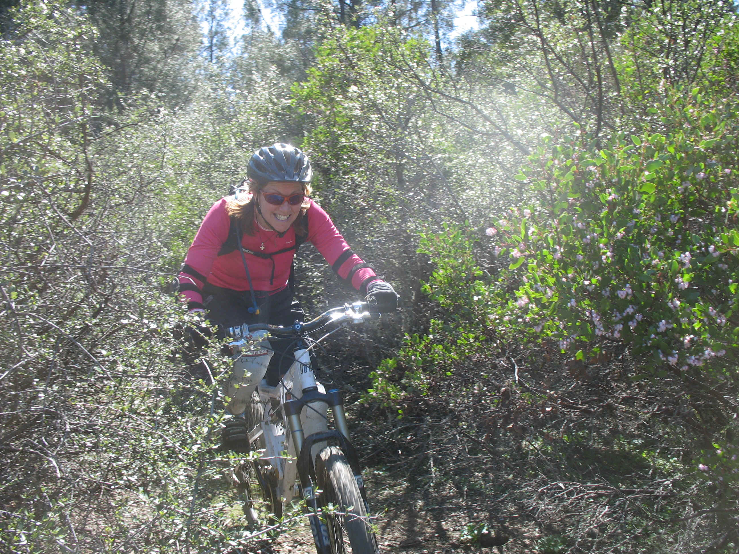 139_3967.JPG (2424371 bytes)