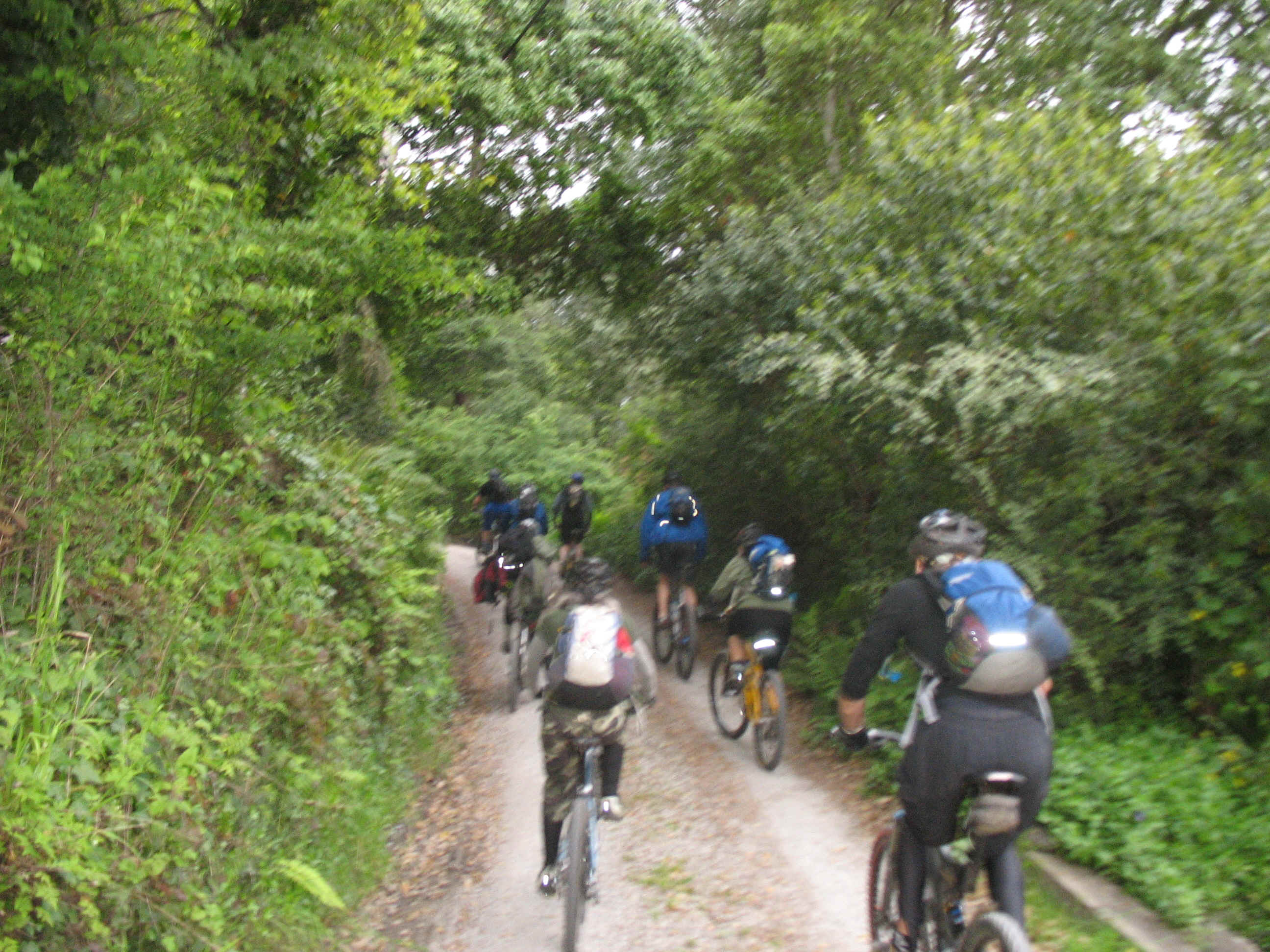 141_4195.JPG (1940598 bytes)