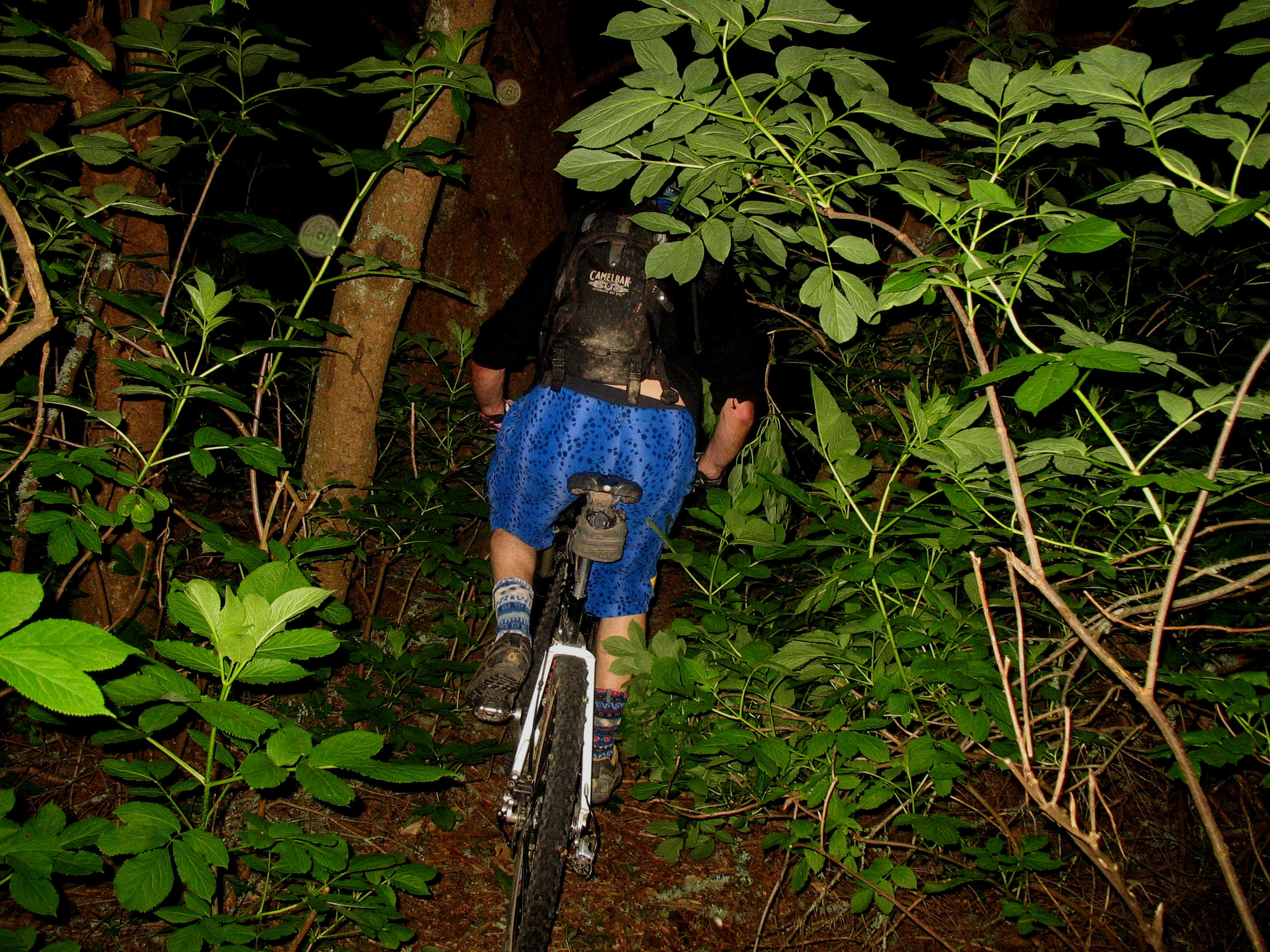 142_4212.JPG (2456453 bytes)