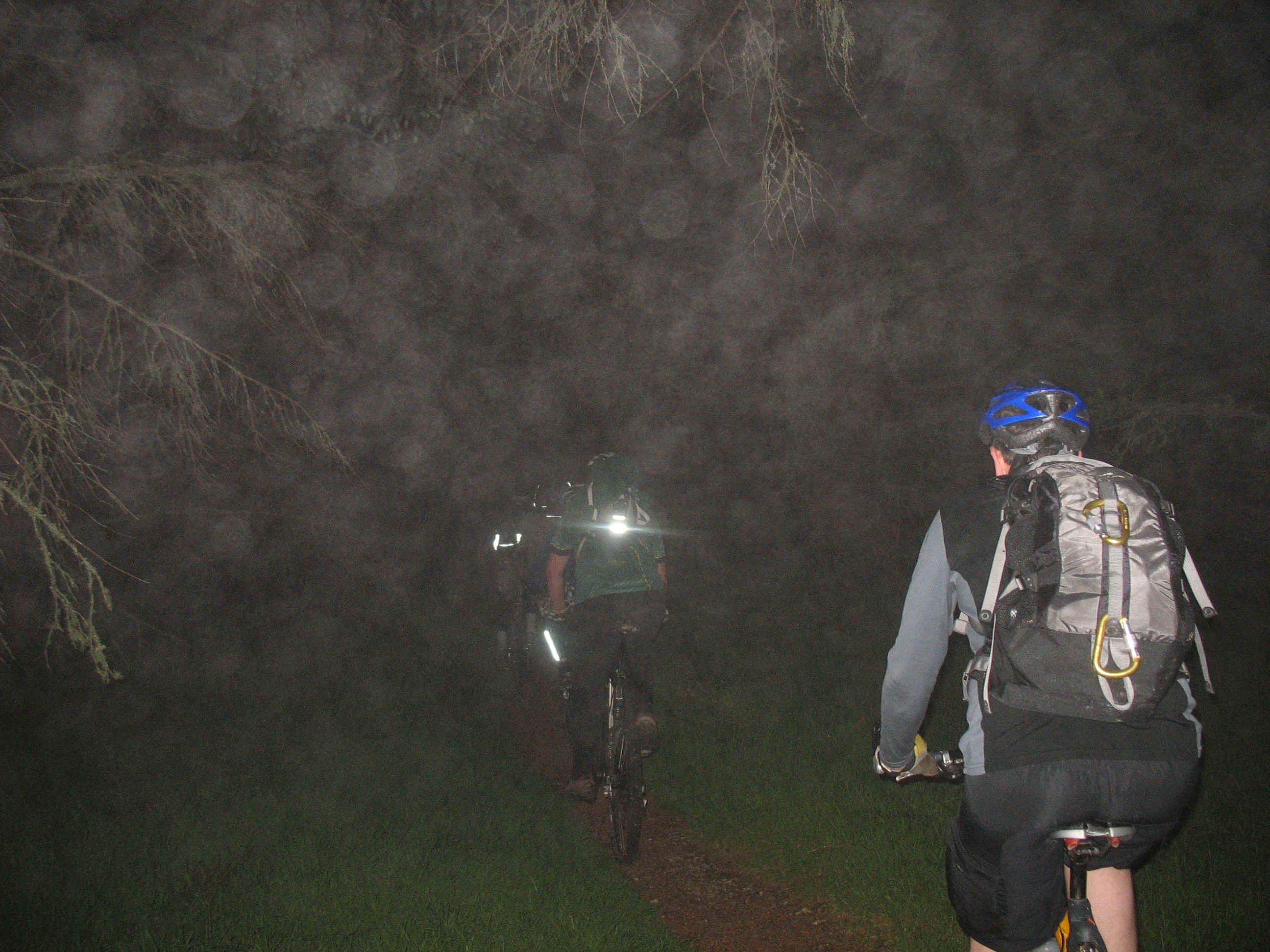 142_4217.JPG (1755947 bytes)