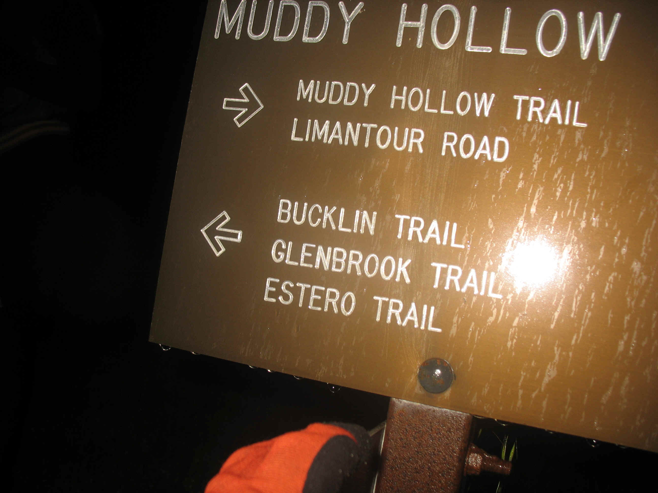 142_4240.JPG (1046501 bytes)