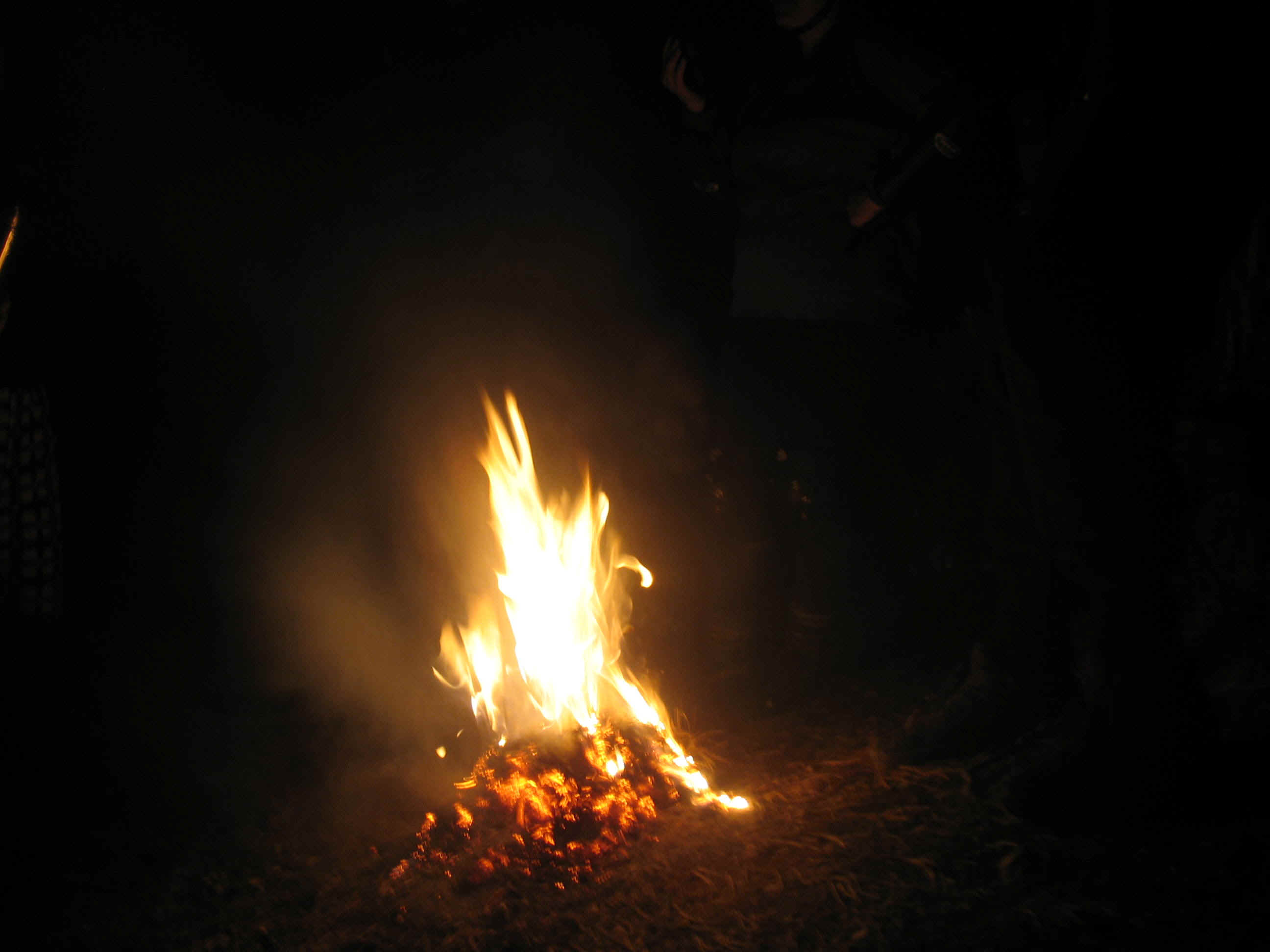 142_4255.JPG (230922 bytes)