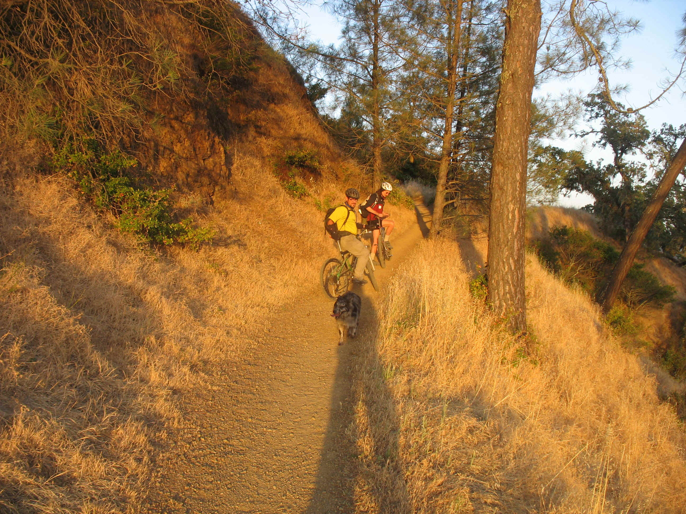 145_4508.JPG (1234841 bytes)