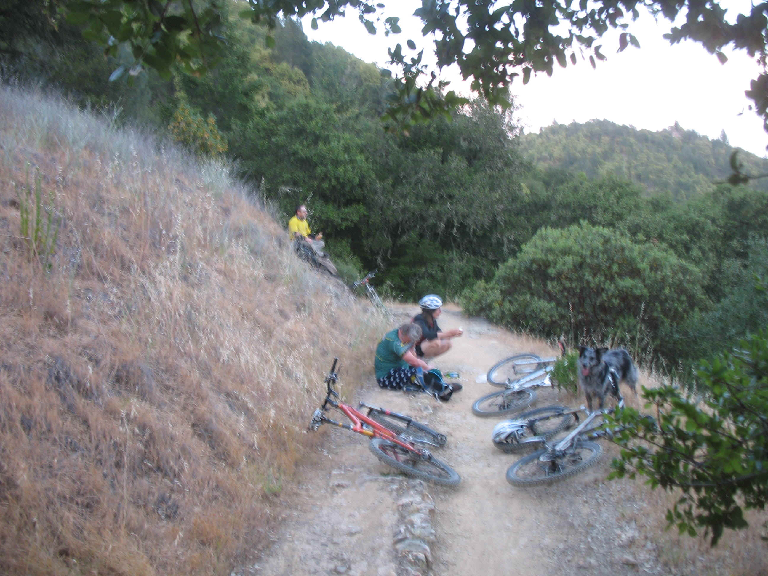 145_4512.JPG (690060 bytes)