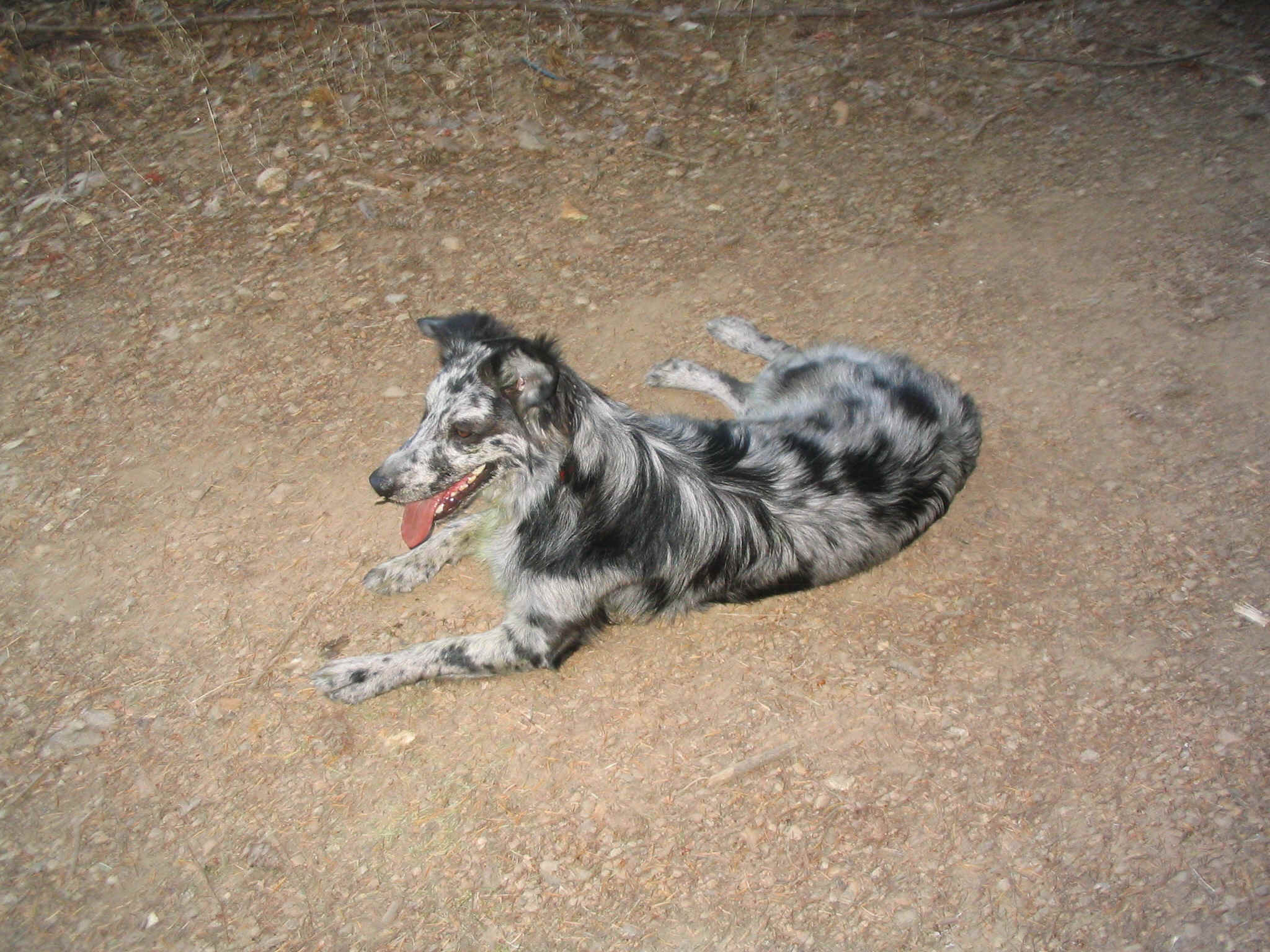 154_5487.JPG (1175544 bytes)