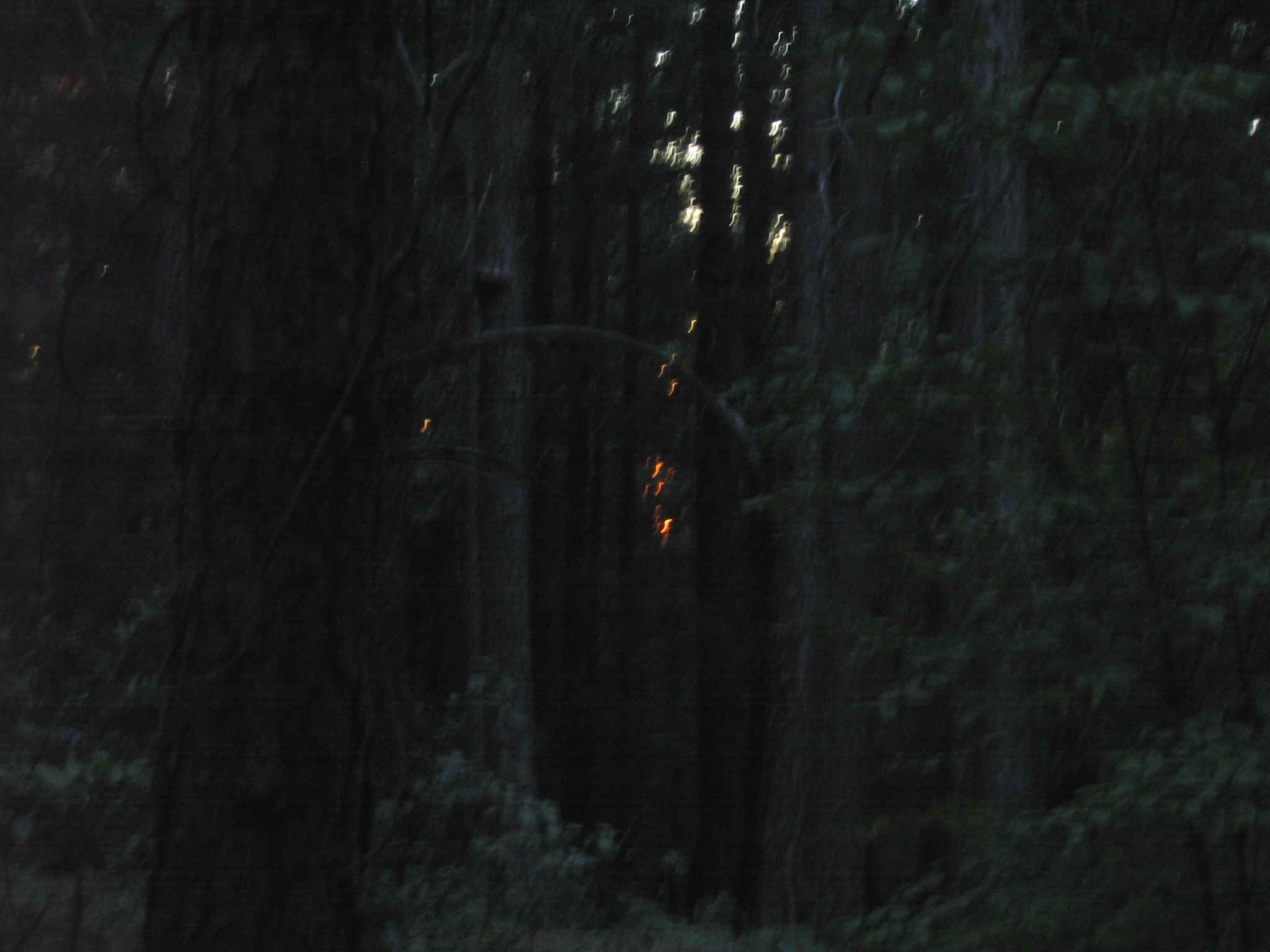 155_5539.JPG (556544 bytes)