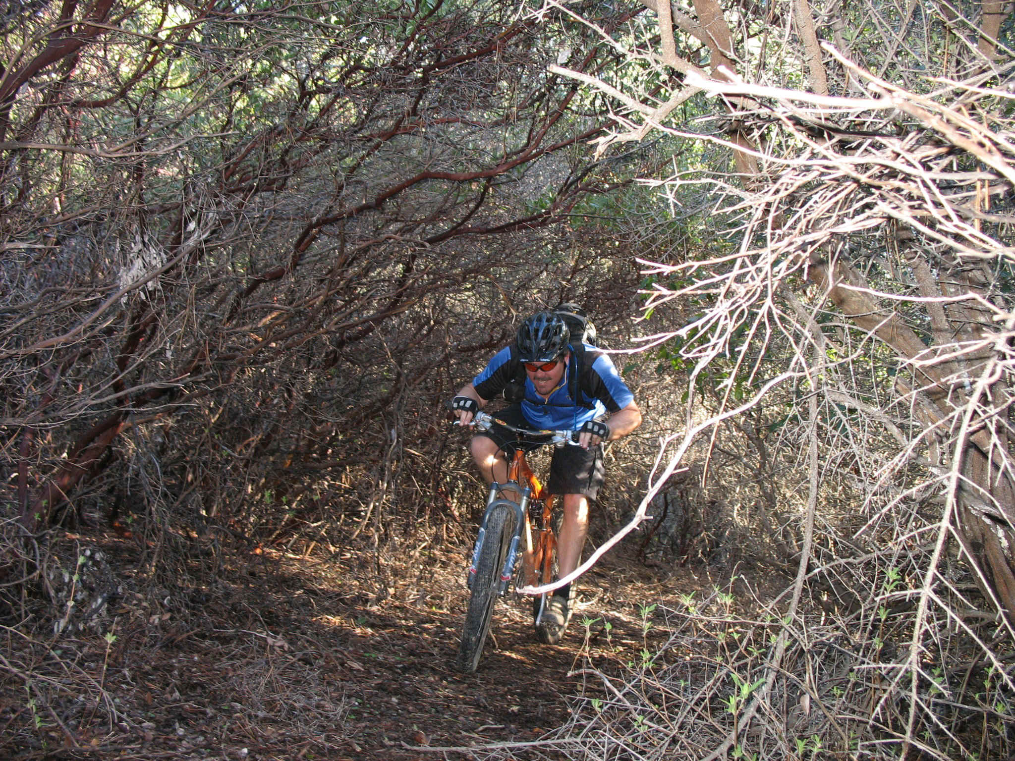 420-22.jpg (1272241 bytes)