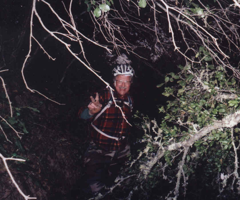 420HappyLinz.bmp (2854454 bytes)