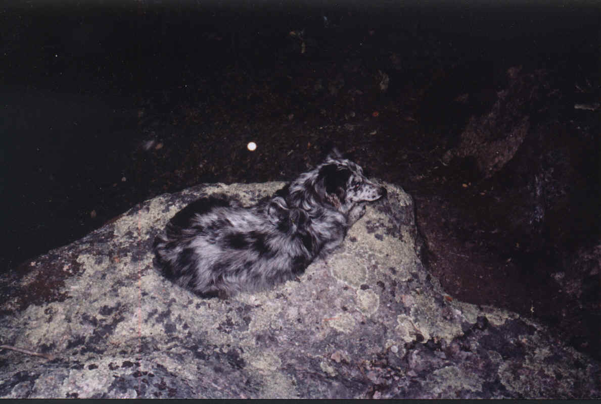 420Swiftrock.bmp (2854454 bytes)