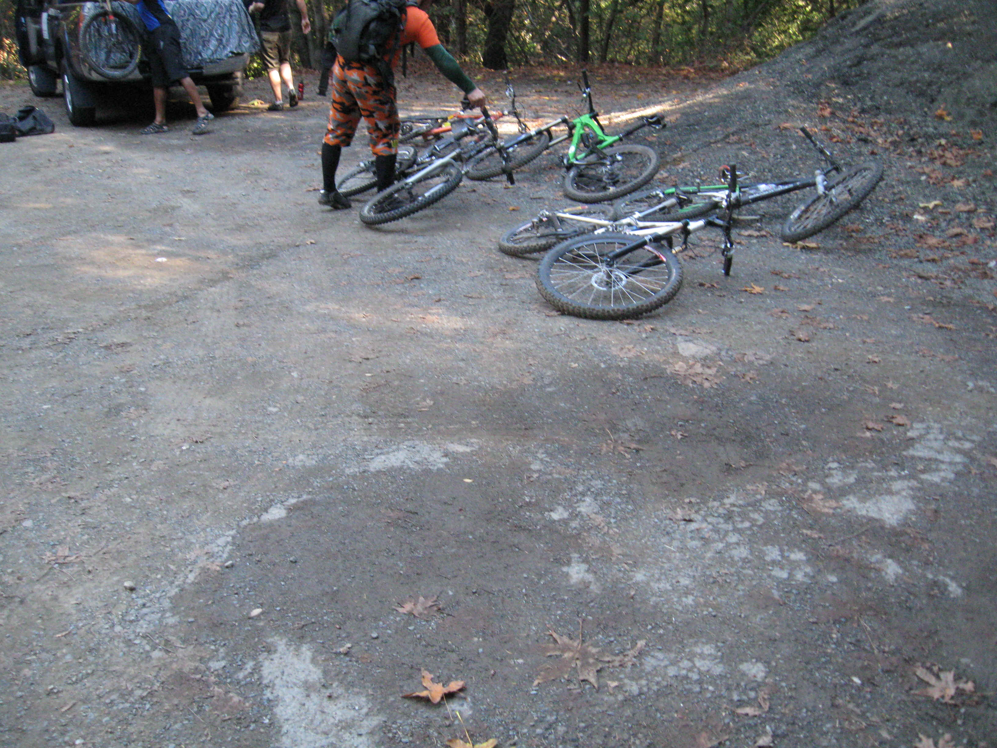 Beeline005.jpg (4923904 bytes)