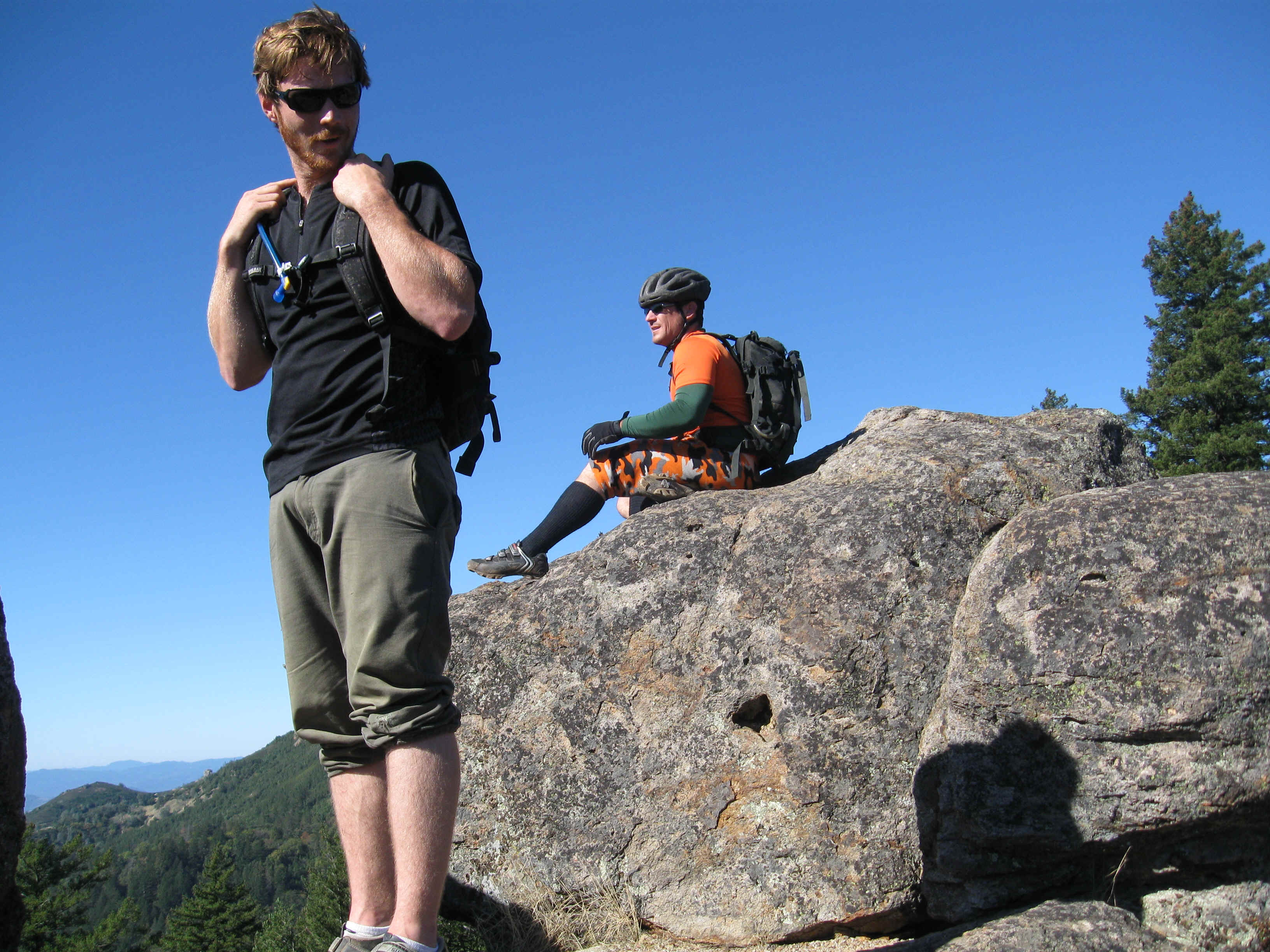 Beeline007.jpg (4246822 bytes)