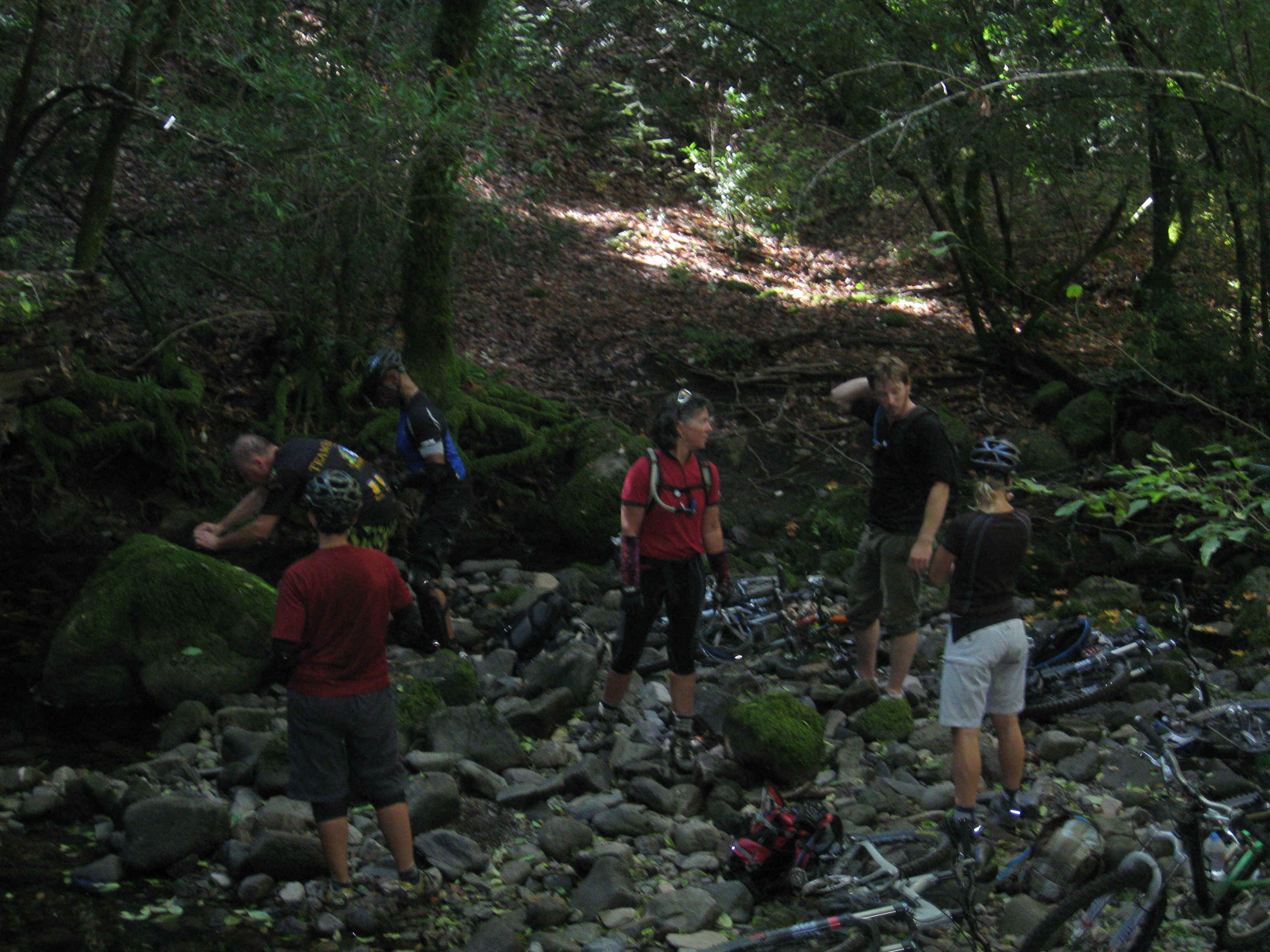 Beeline013.jpg (4172518 bytes)