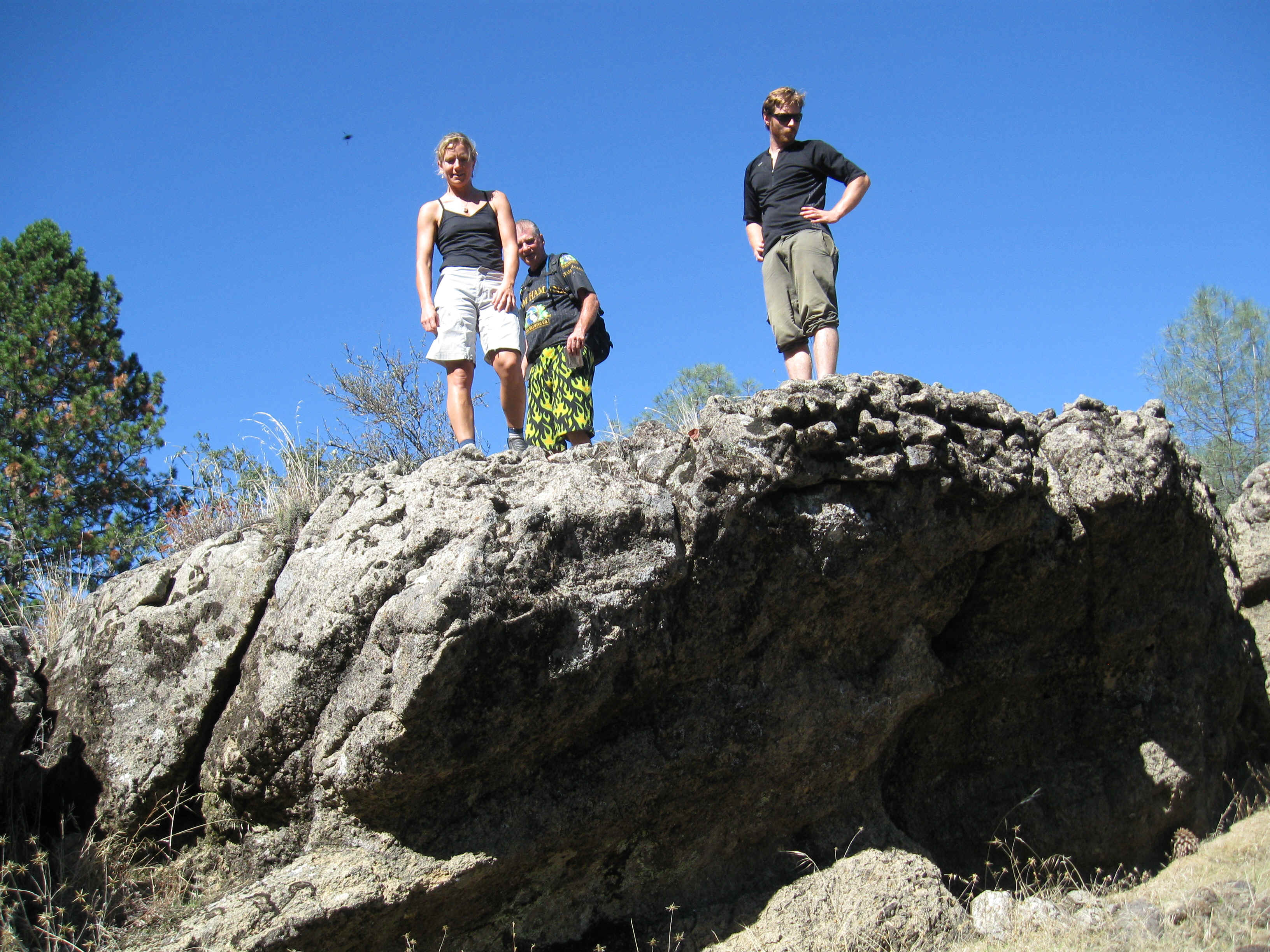 Beeline014.jpg (4405522 bytes)