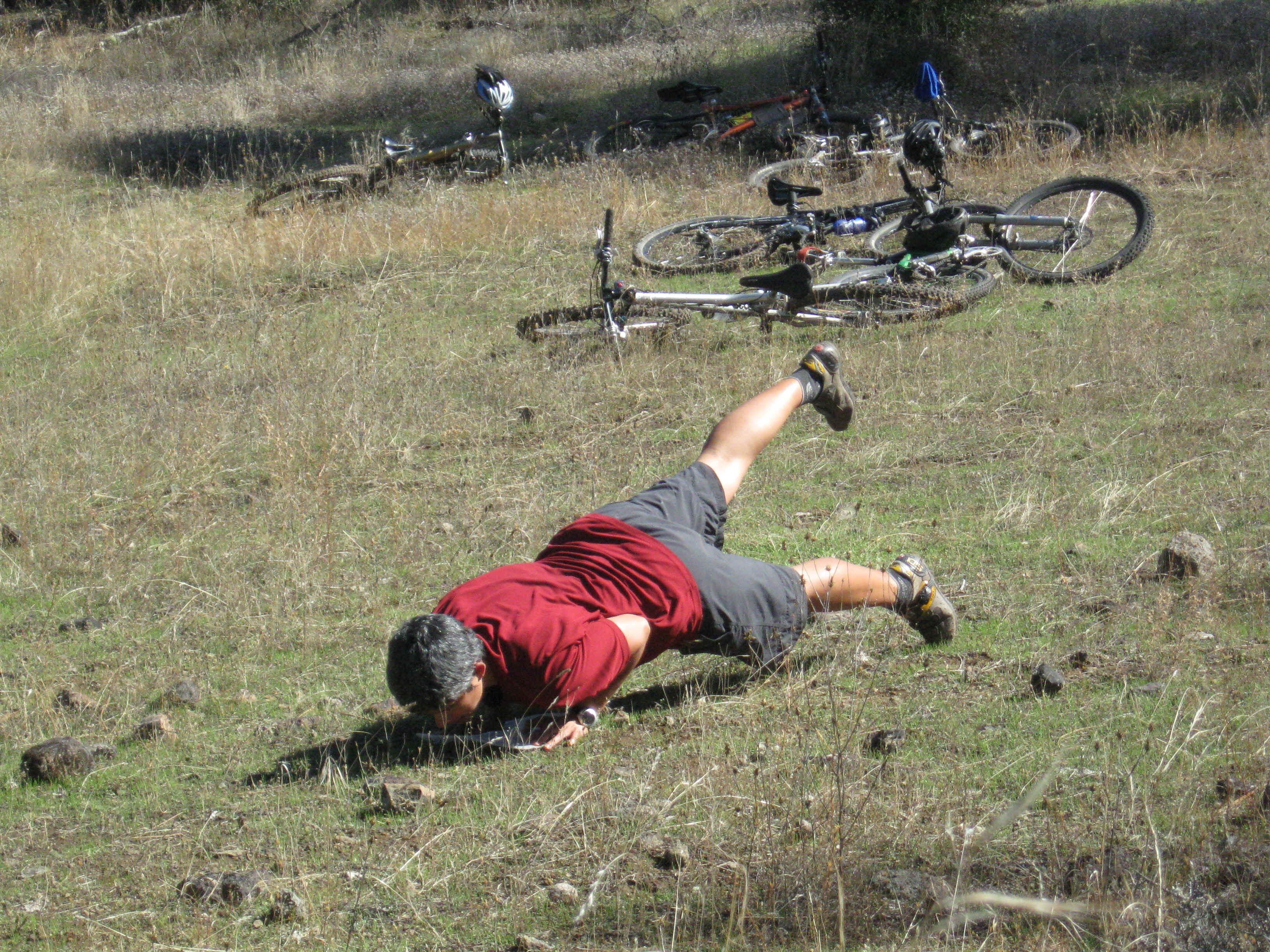 Beeline019.jpg (6106382 bytes)