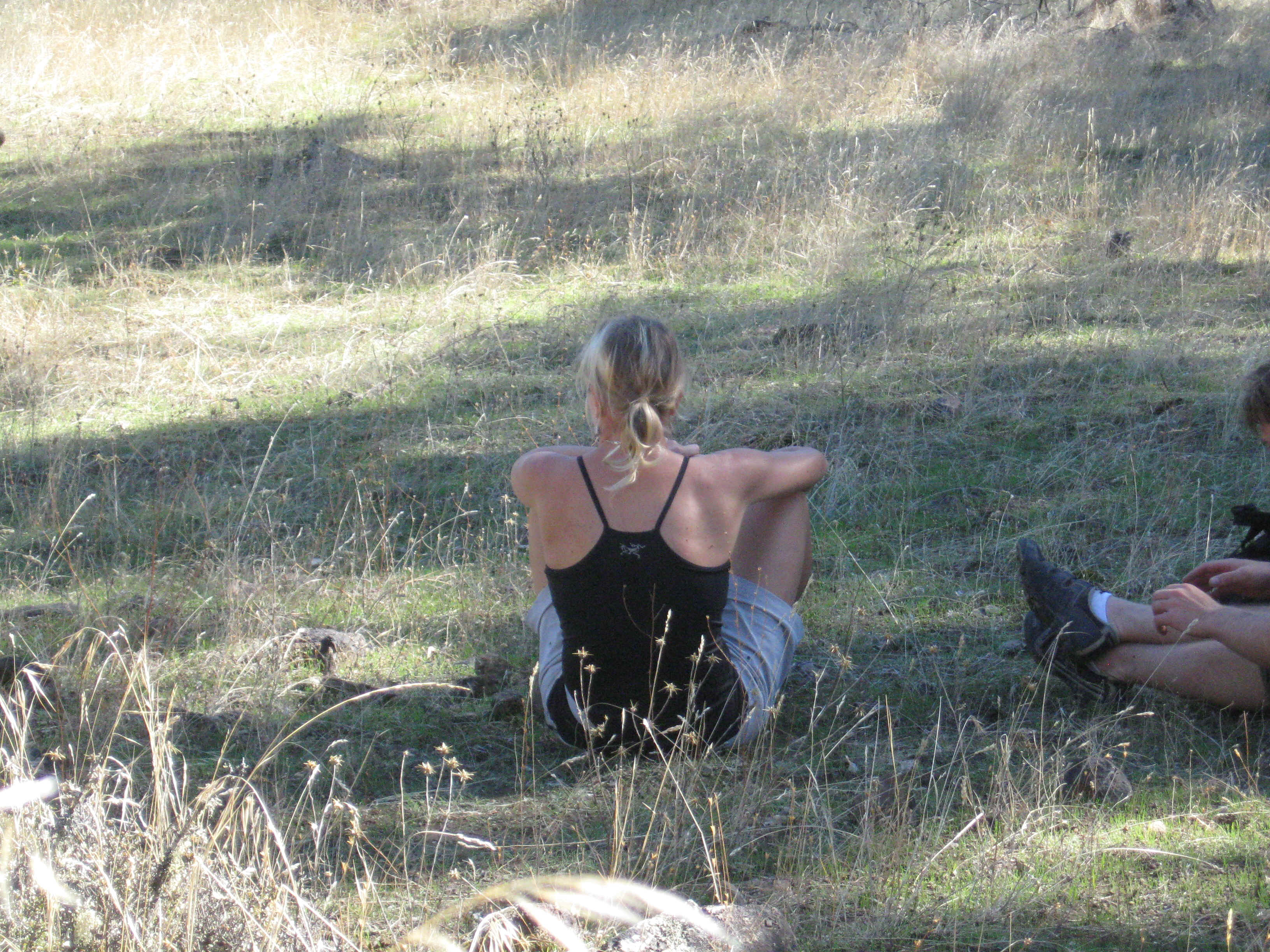 Beeline020.jpg (5782684 bytes)