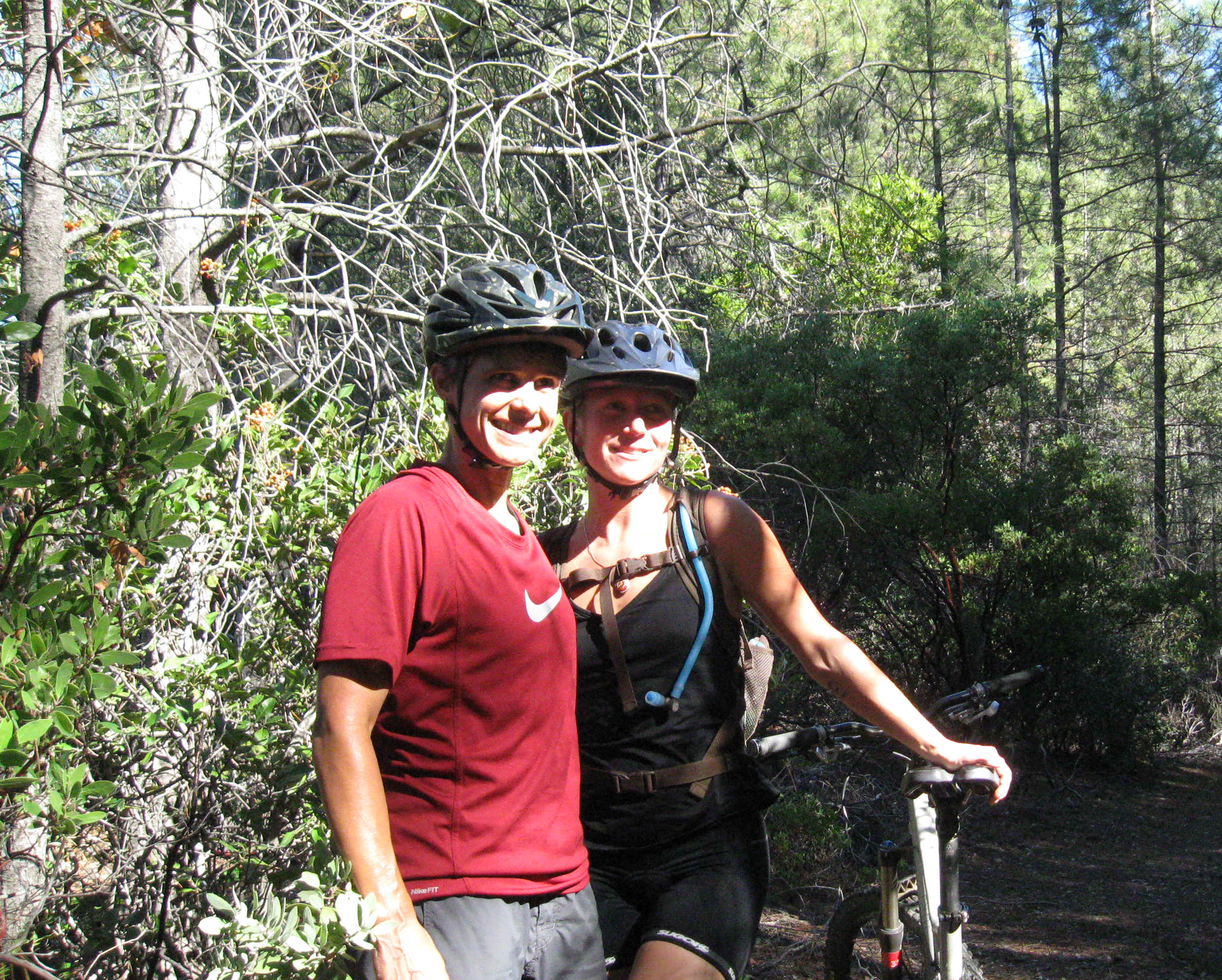 Beeline022.jpg (6175500 bytes)