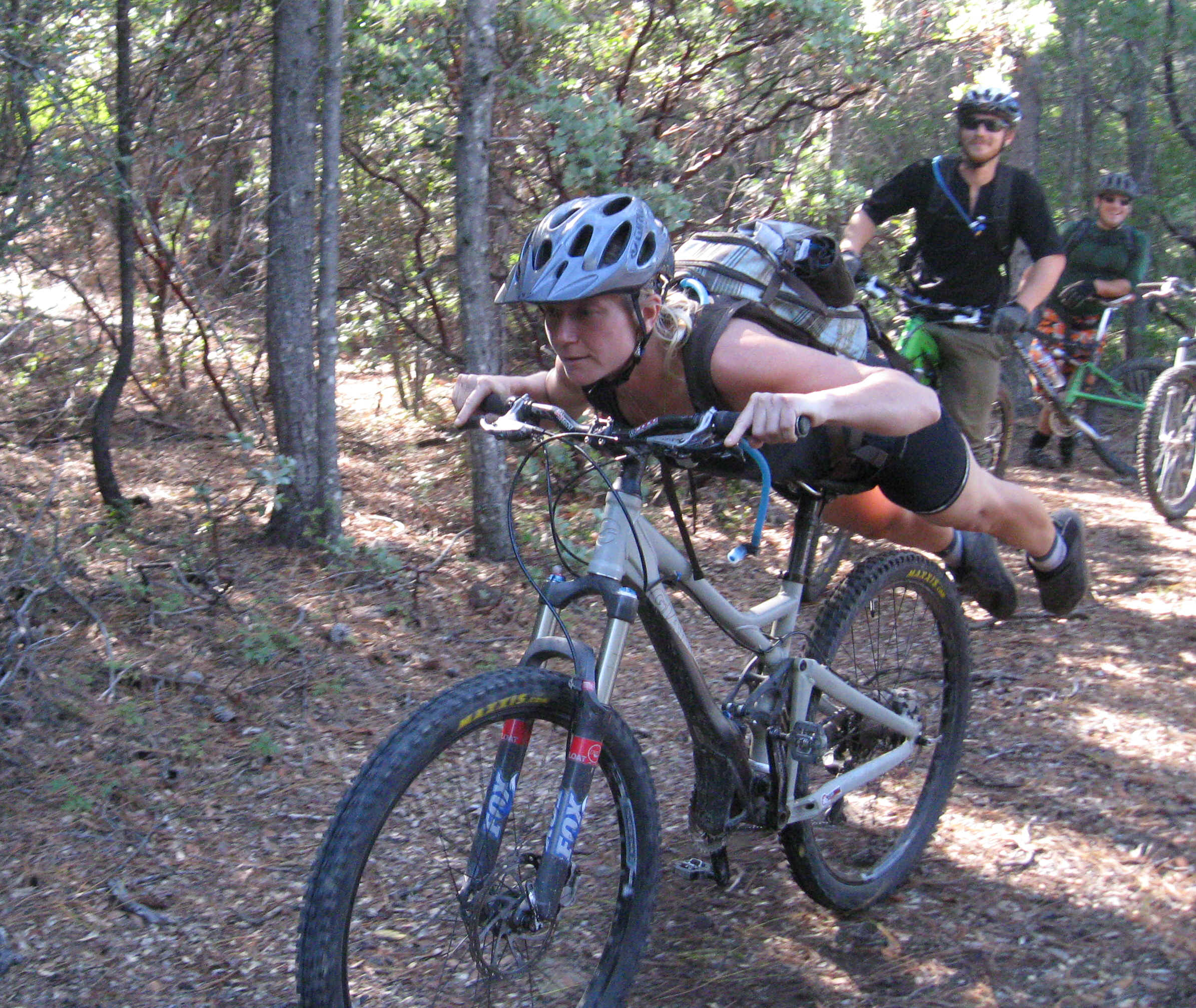 Beeline023.jpg (5755911 bytes)